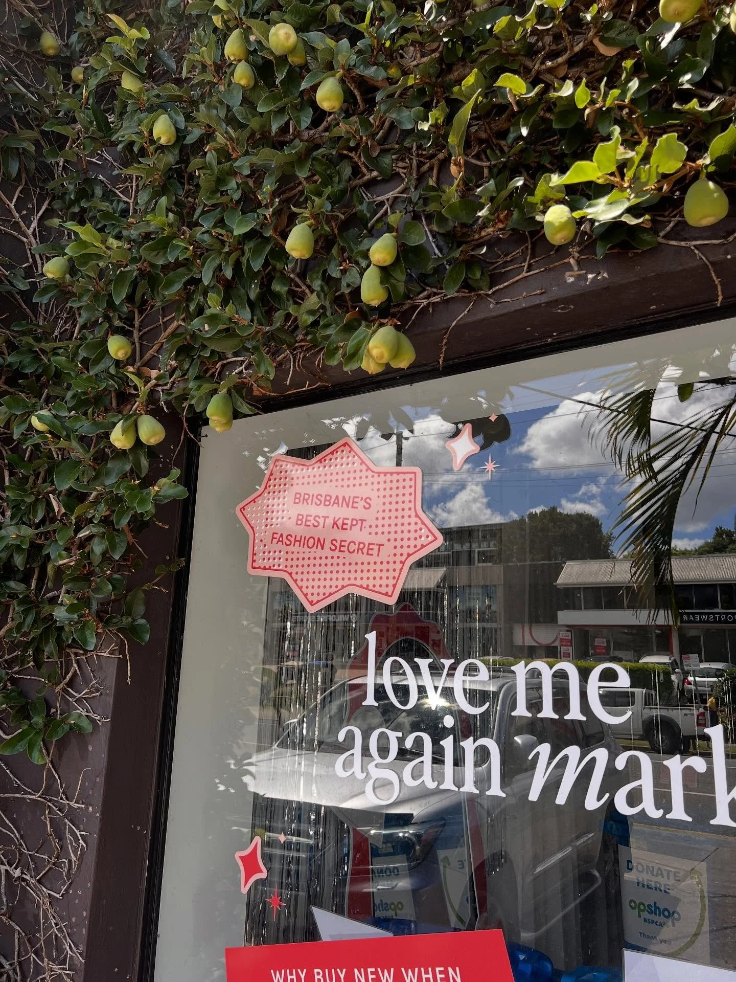 lovemeagainmarket_1760165217_3740859438736866537_3226366693.jpg