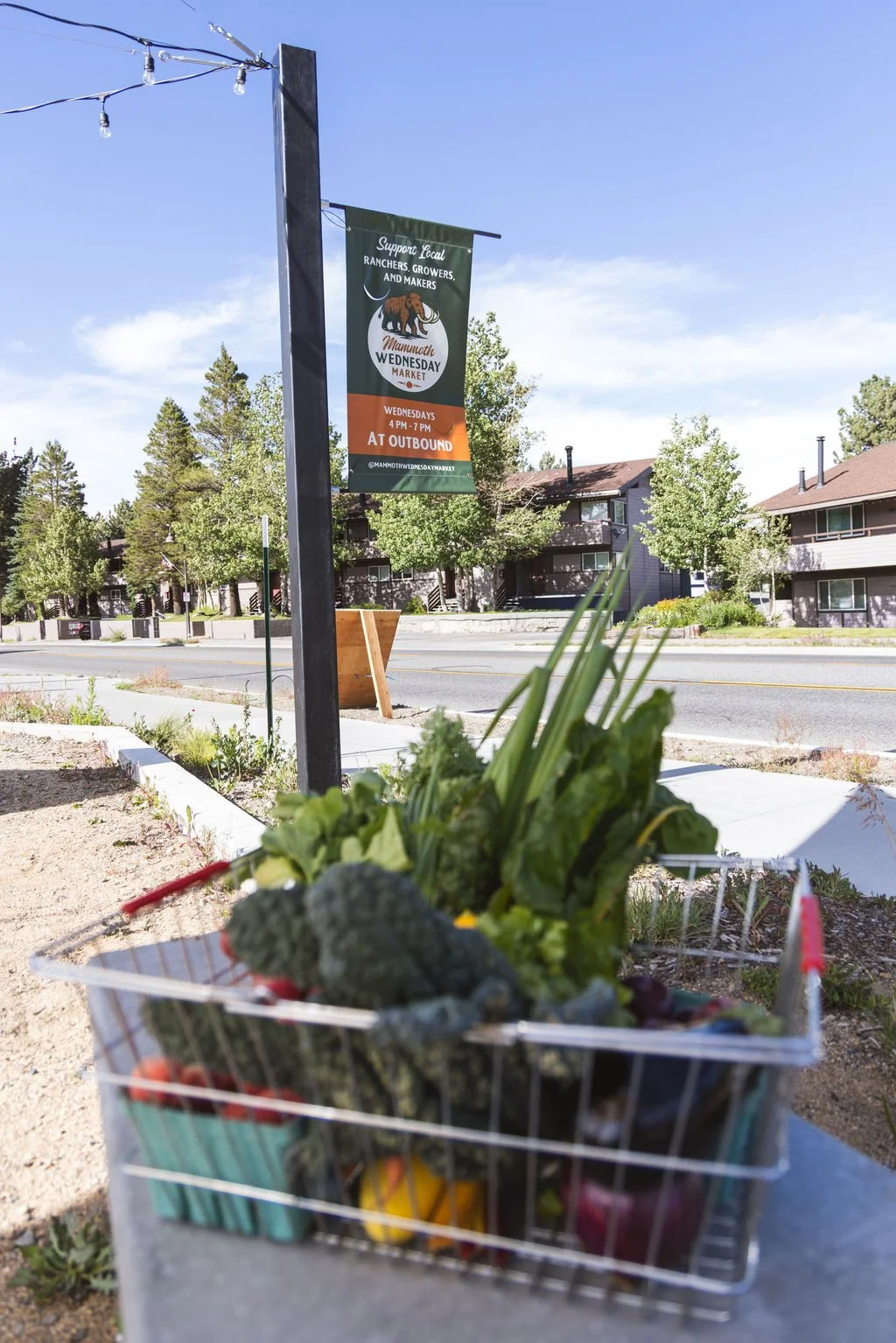 BlueHeronFarmersMarket-74.jpg