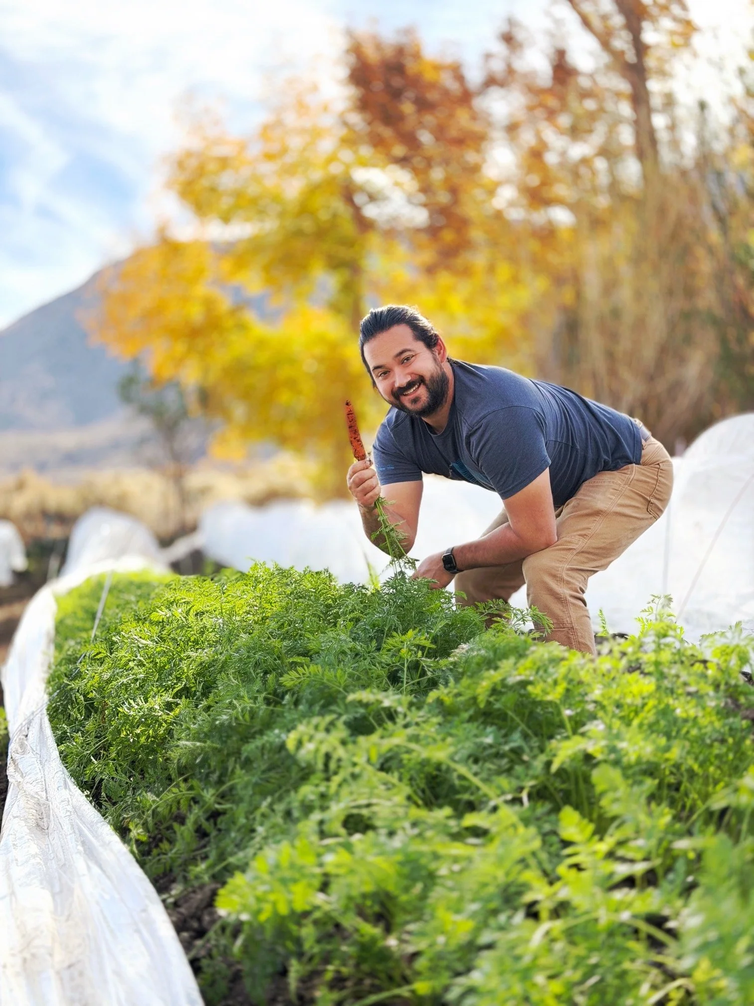 Wholesale | Enhance Your Menu – Order Local Now — The Blue Heron Project