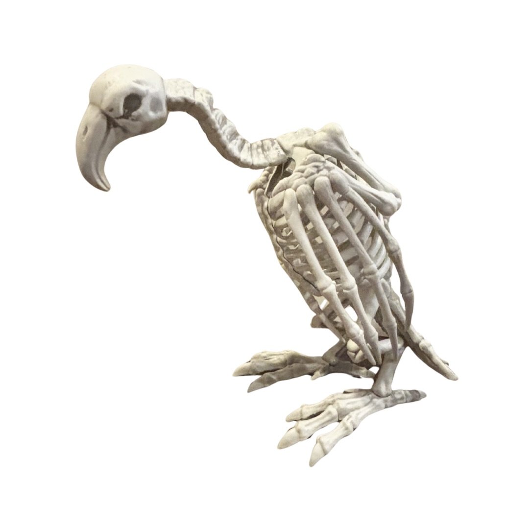 Untitled design-14.jpeg