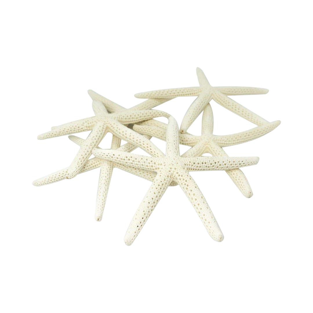 Untitled design-125.png