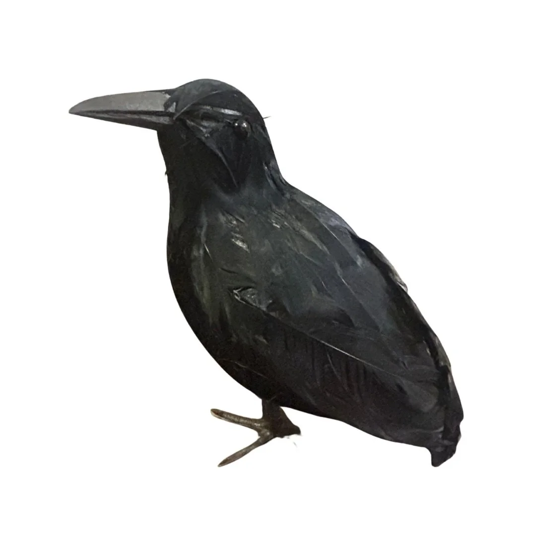 Untitled design-12.jpeg