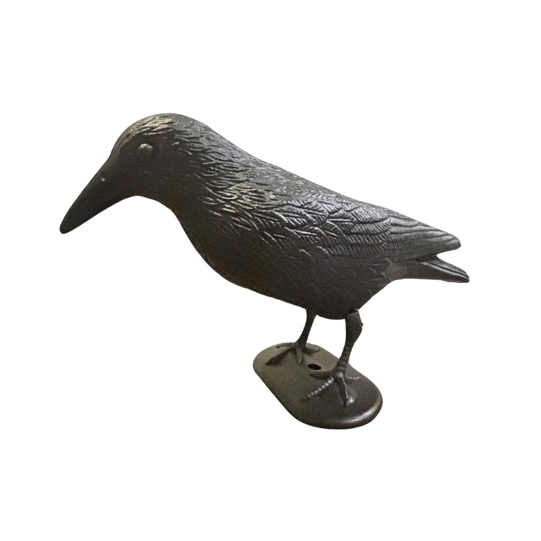 Untitled design-11.jpeg