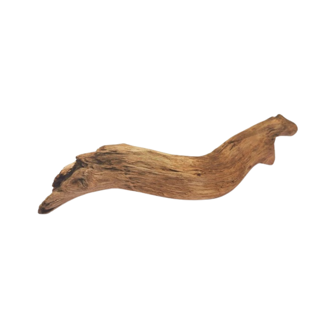 Untitled design-142.png