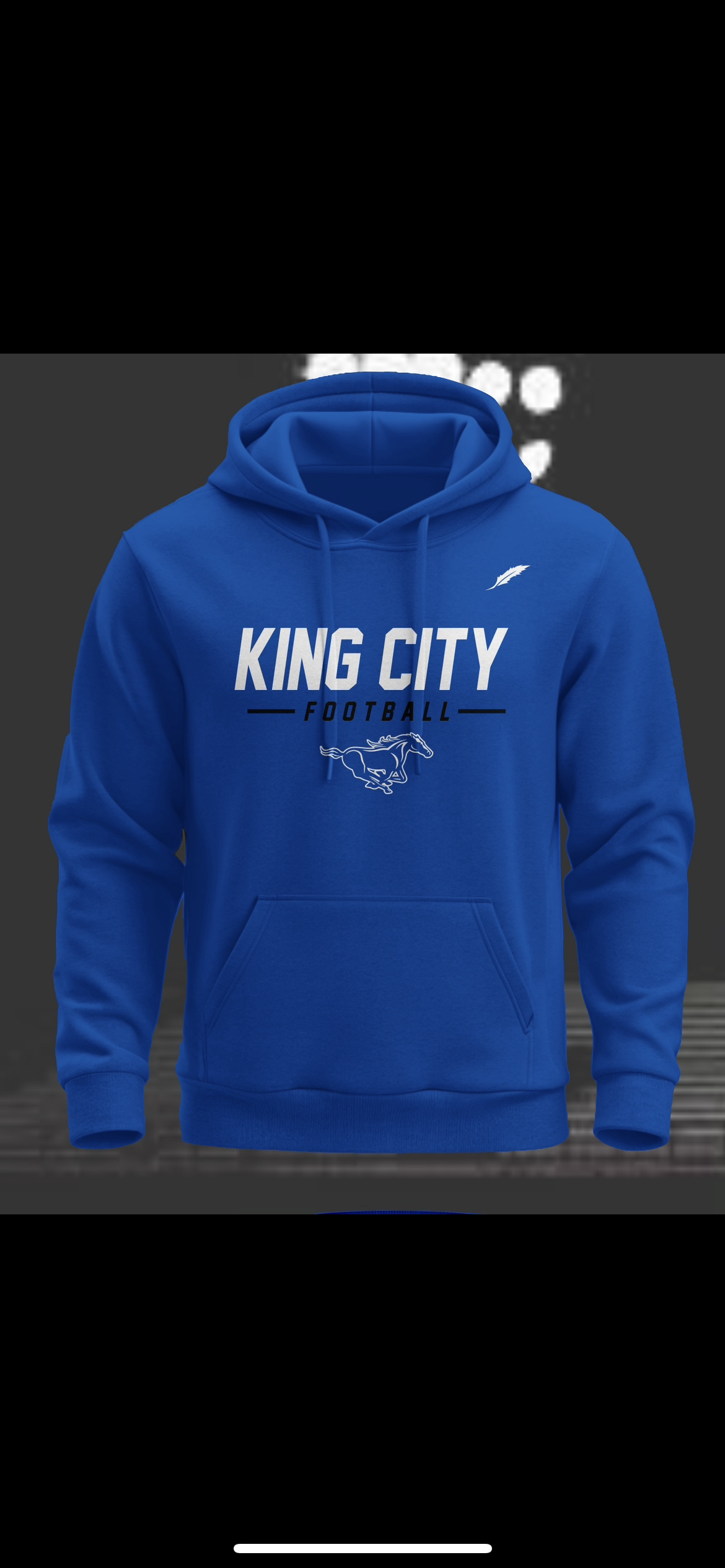 Mustang Hoodie