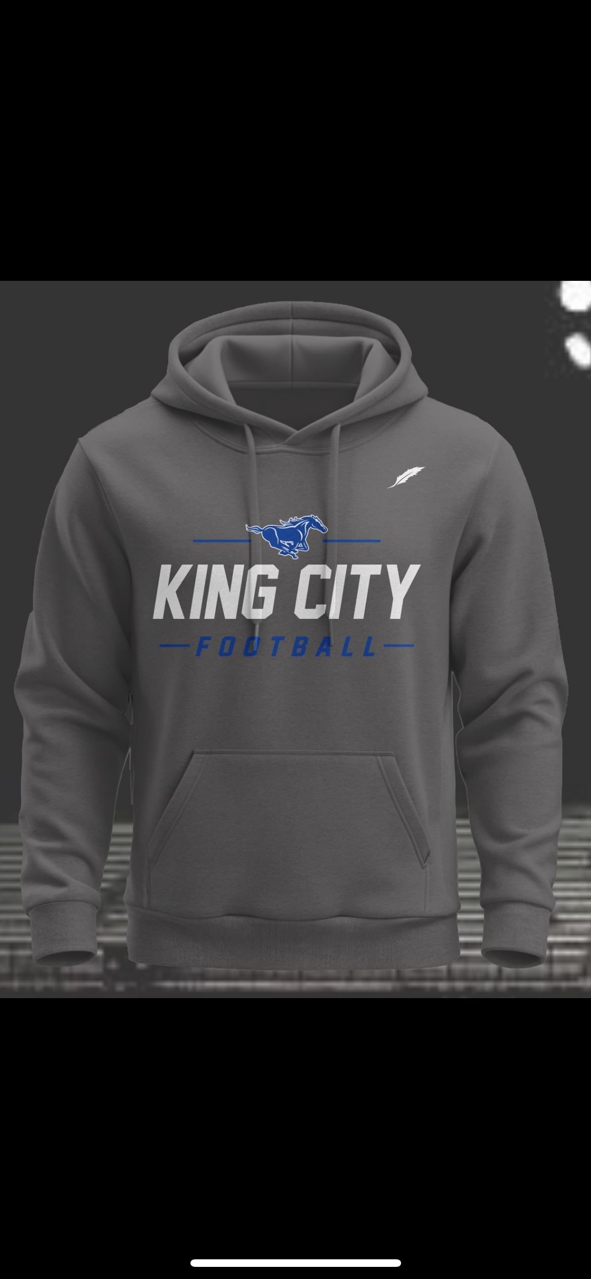 Mustang Hoodie