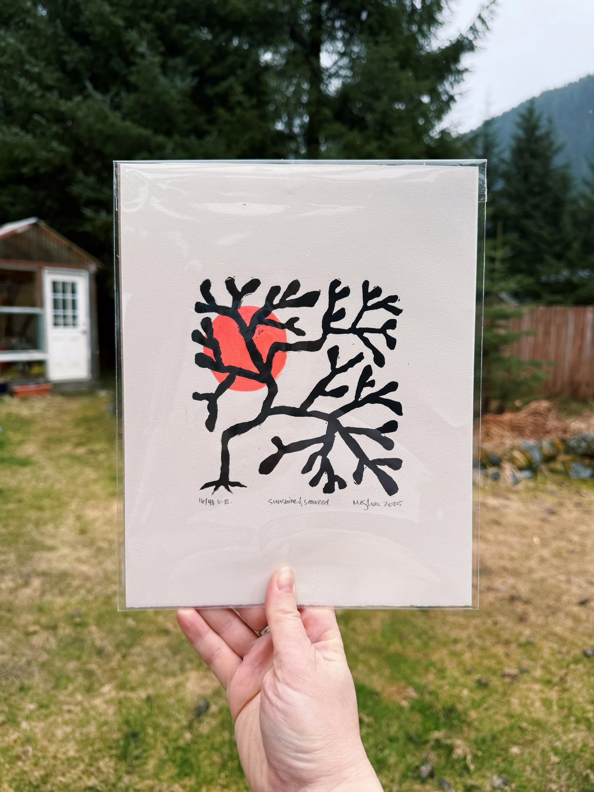 Sea Fan_neon coral.JPG