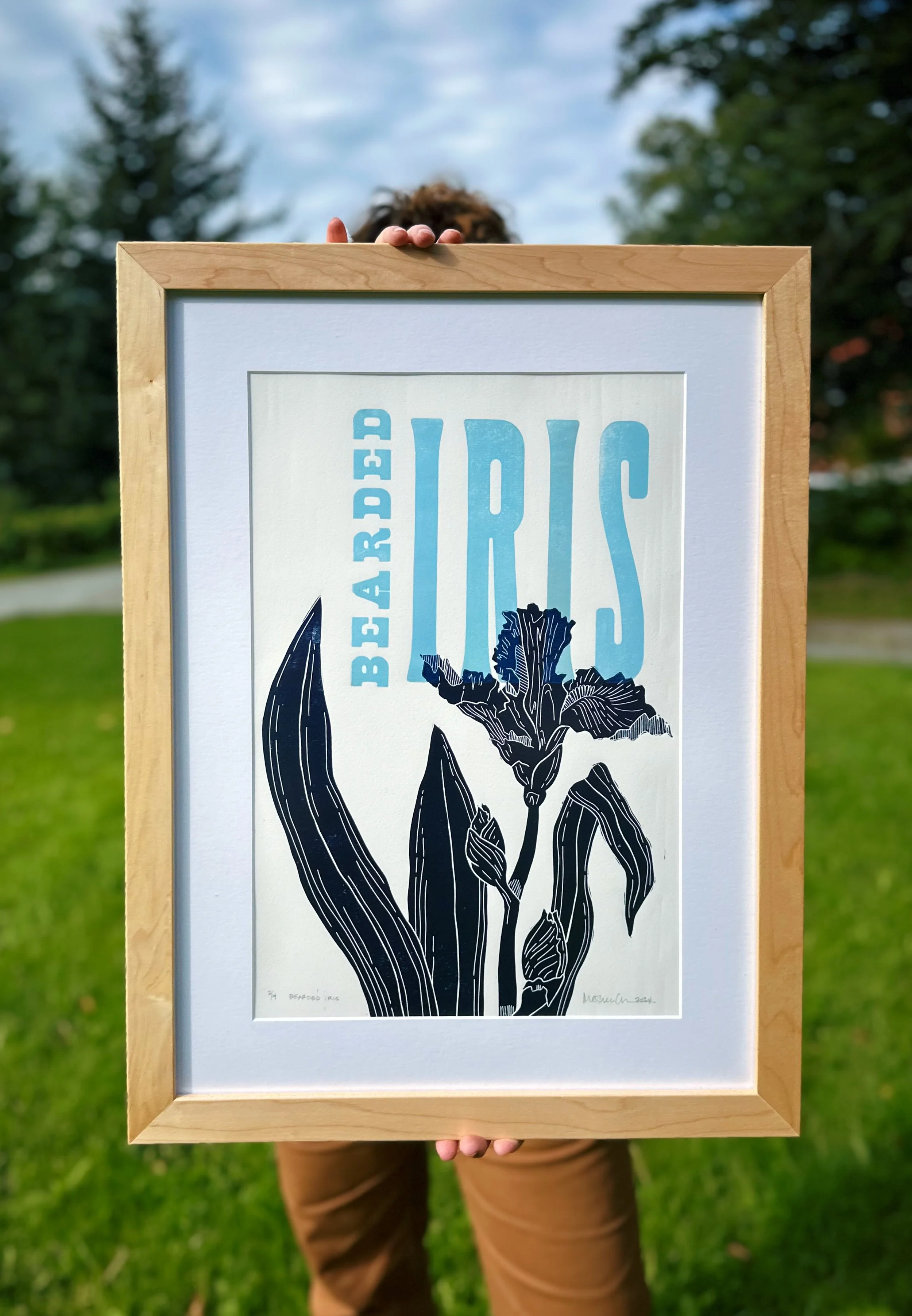 Bearded Iris Print