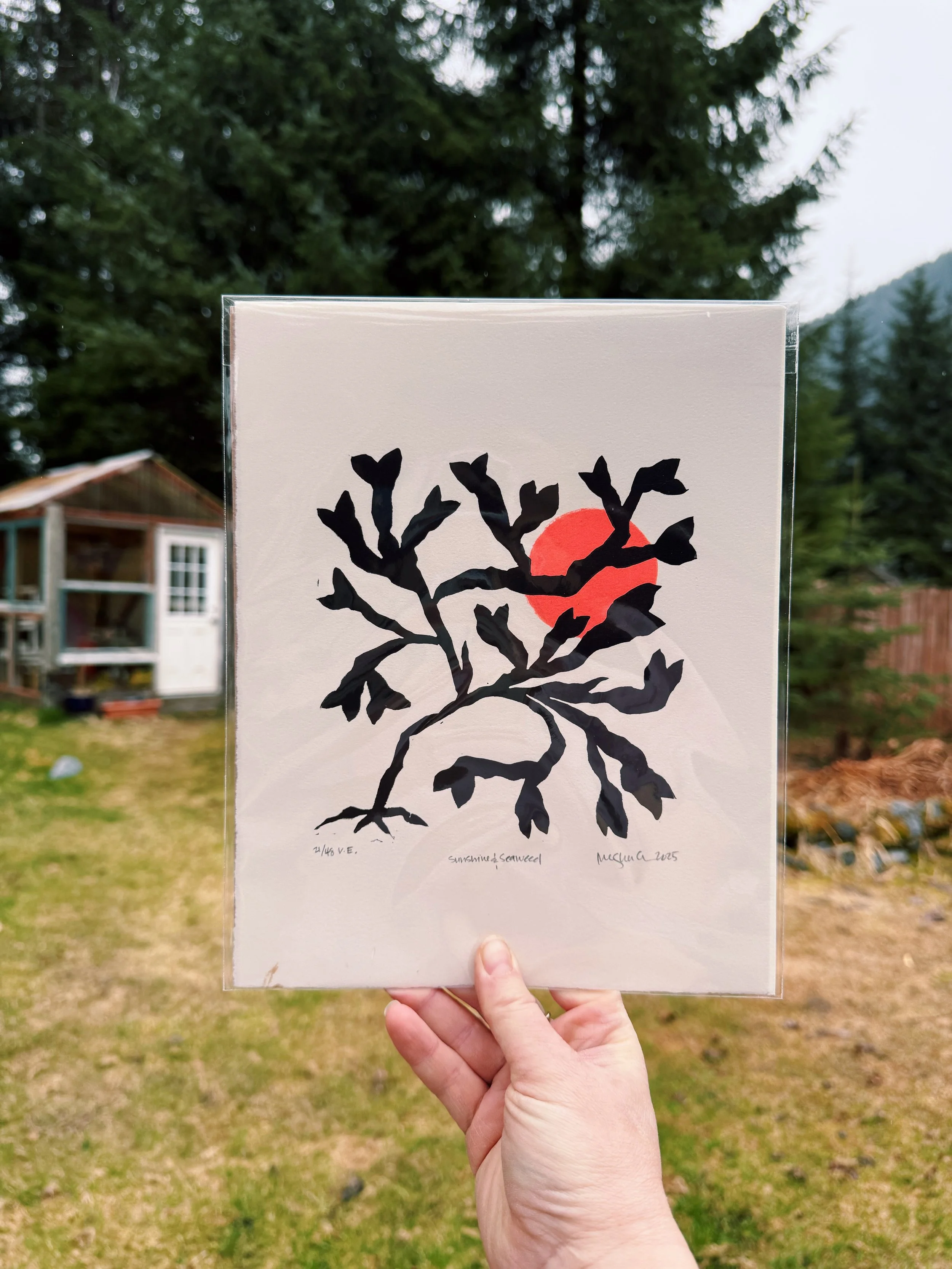 Rockweed_neon coral.JPG