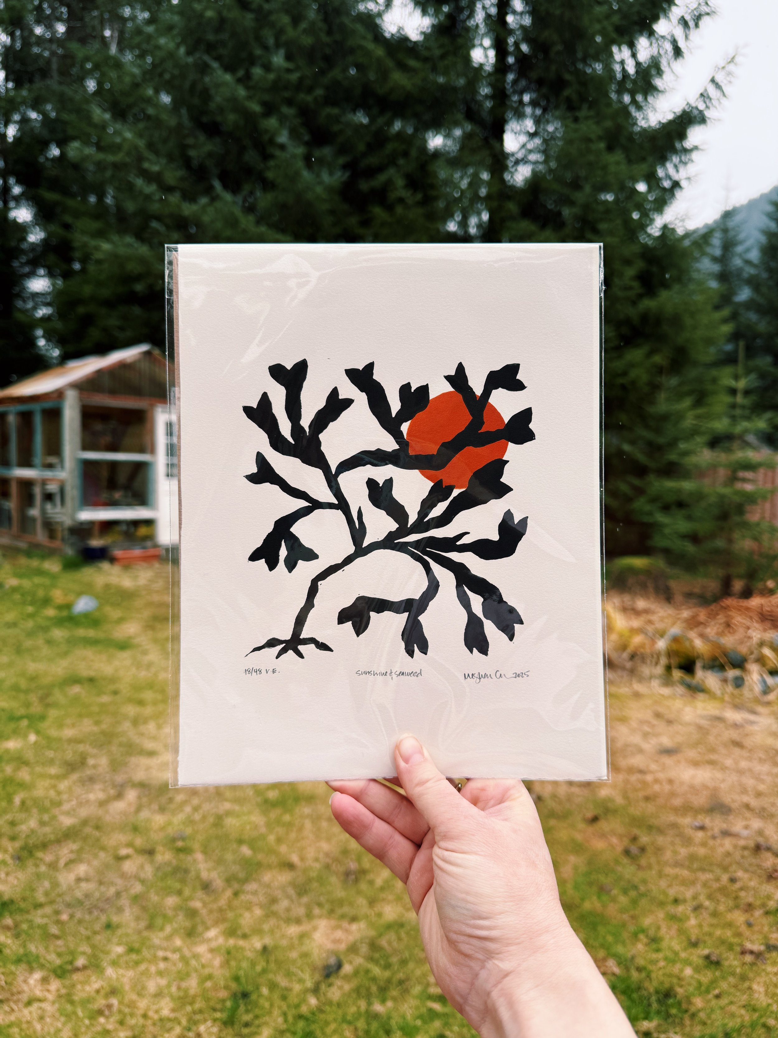 Rockweed_burnt umber.JPG