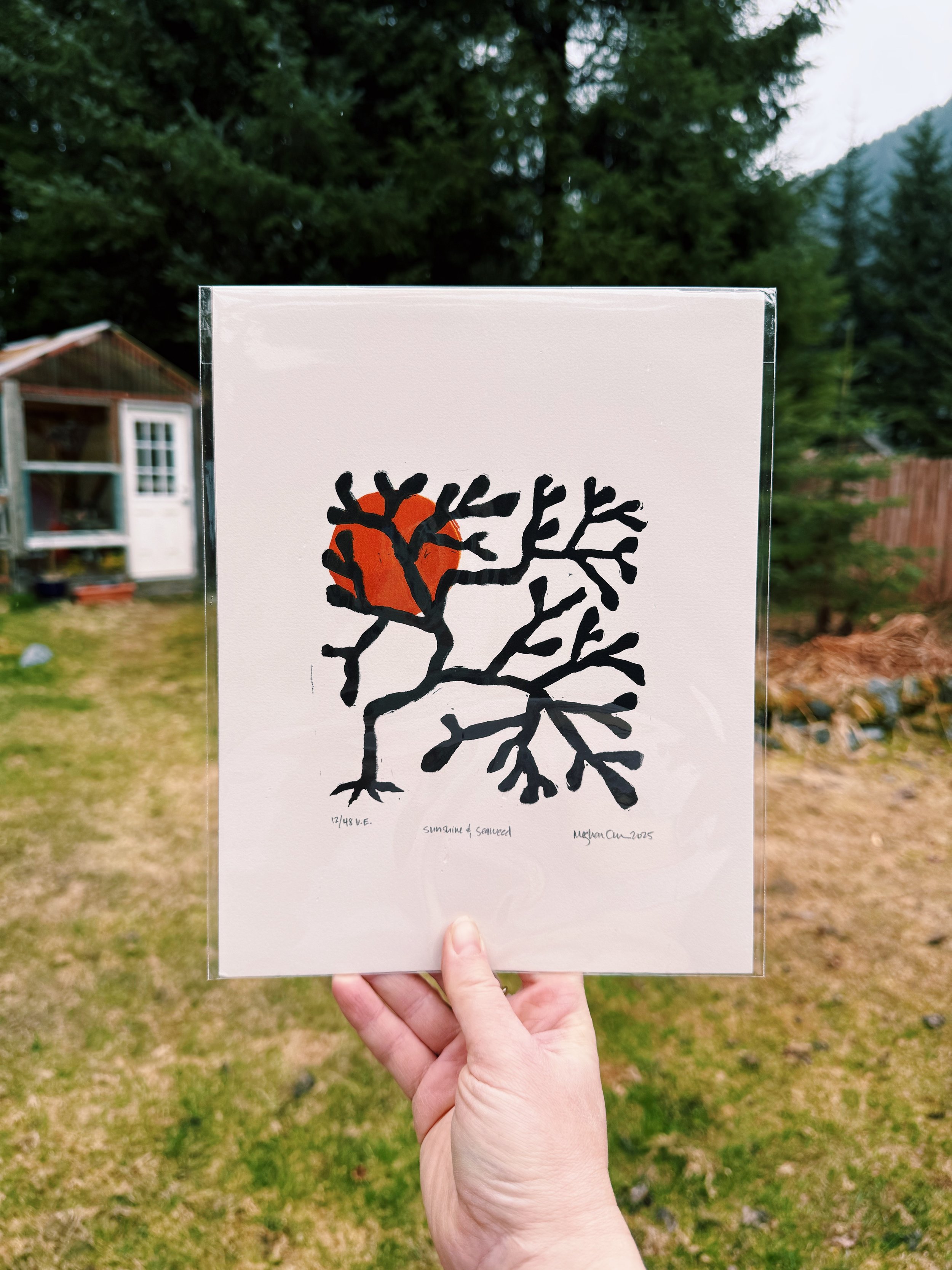 Sea Fan_burnt umber.JPG