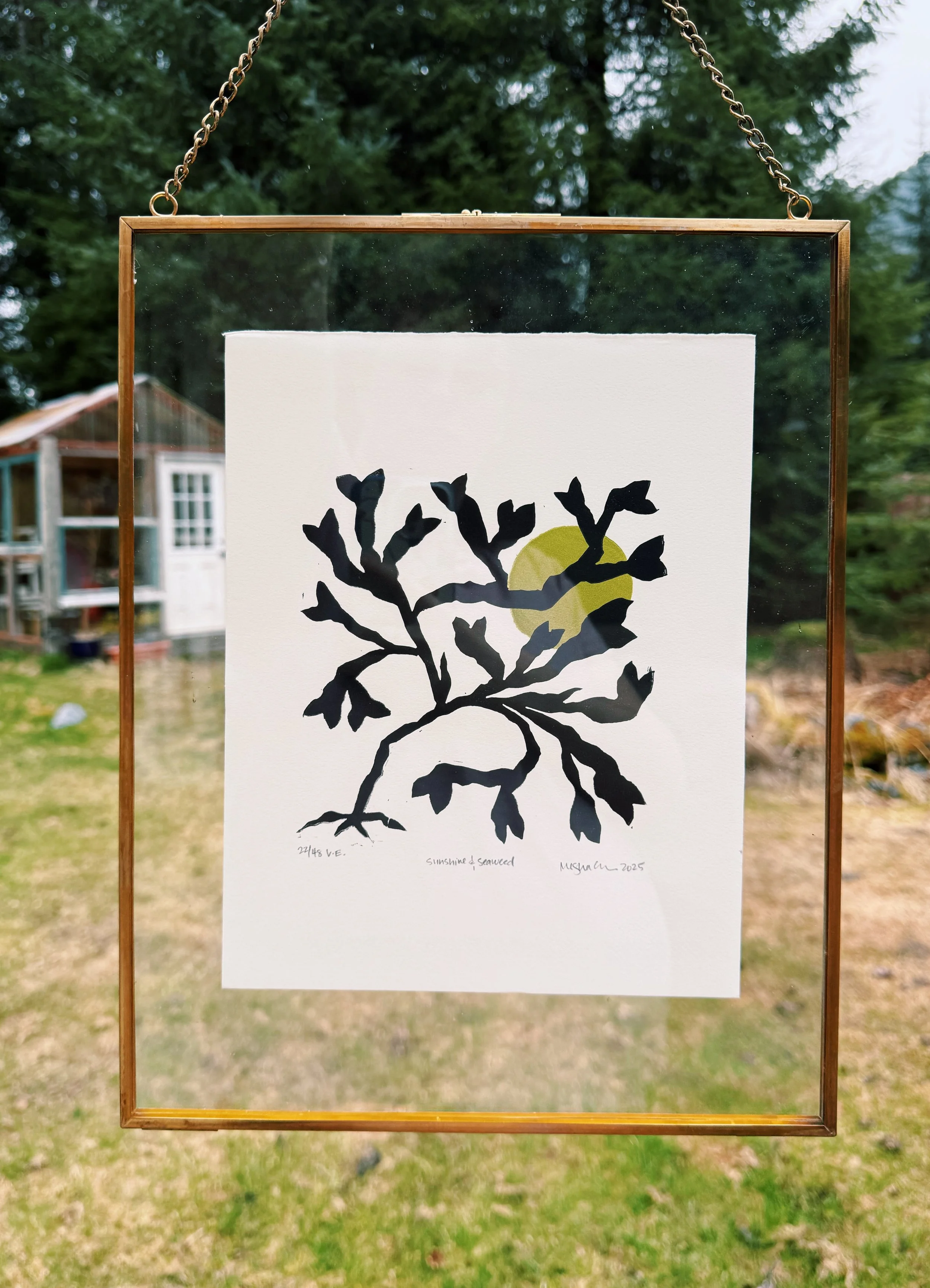 Rockweed_framed.JPG