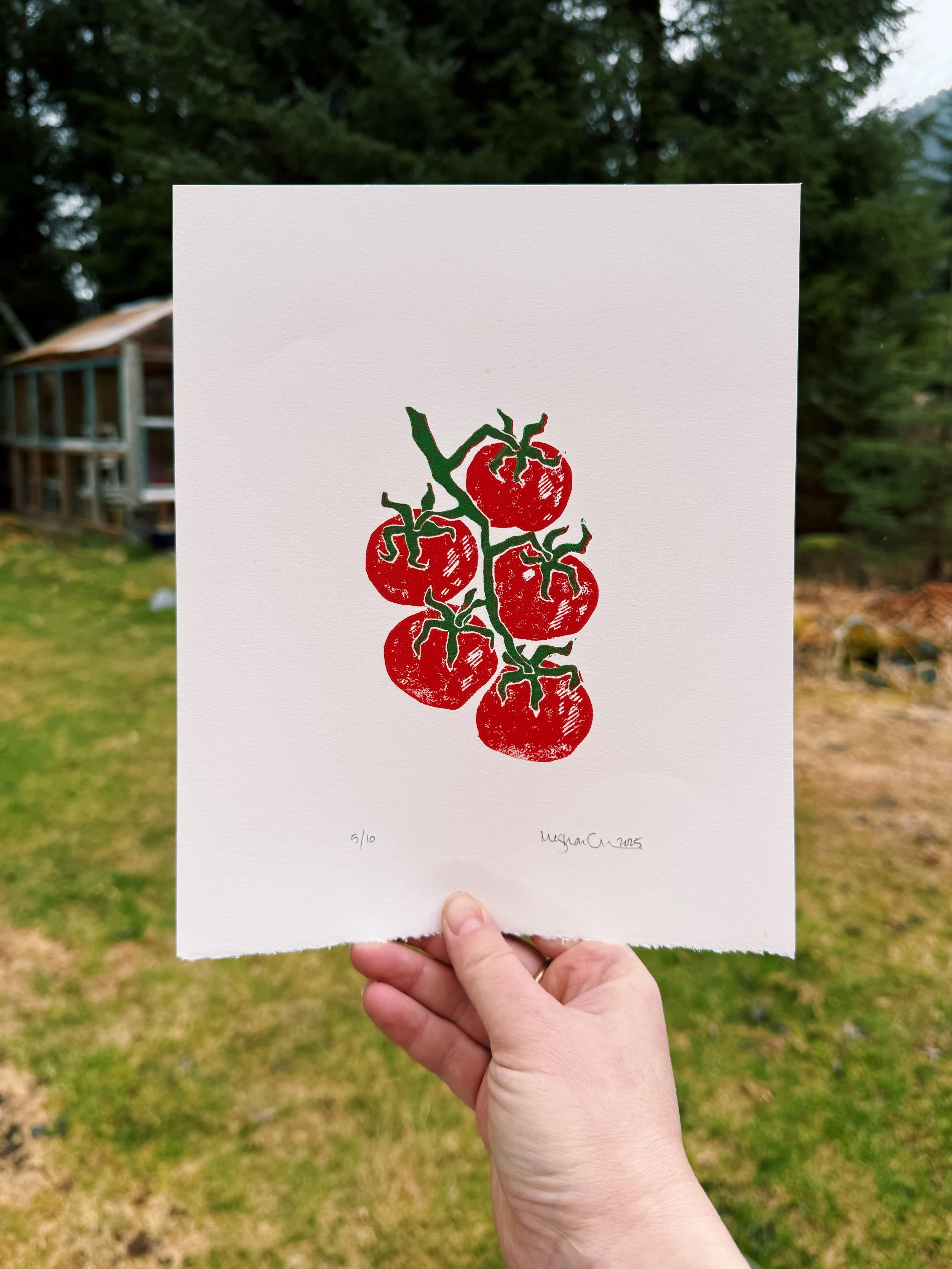 tomatoes.JPG