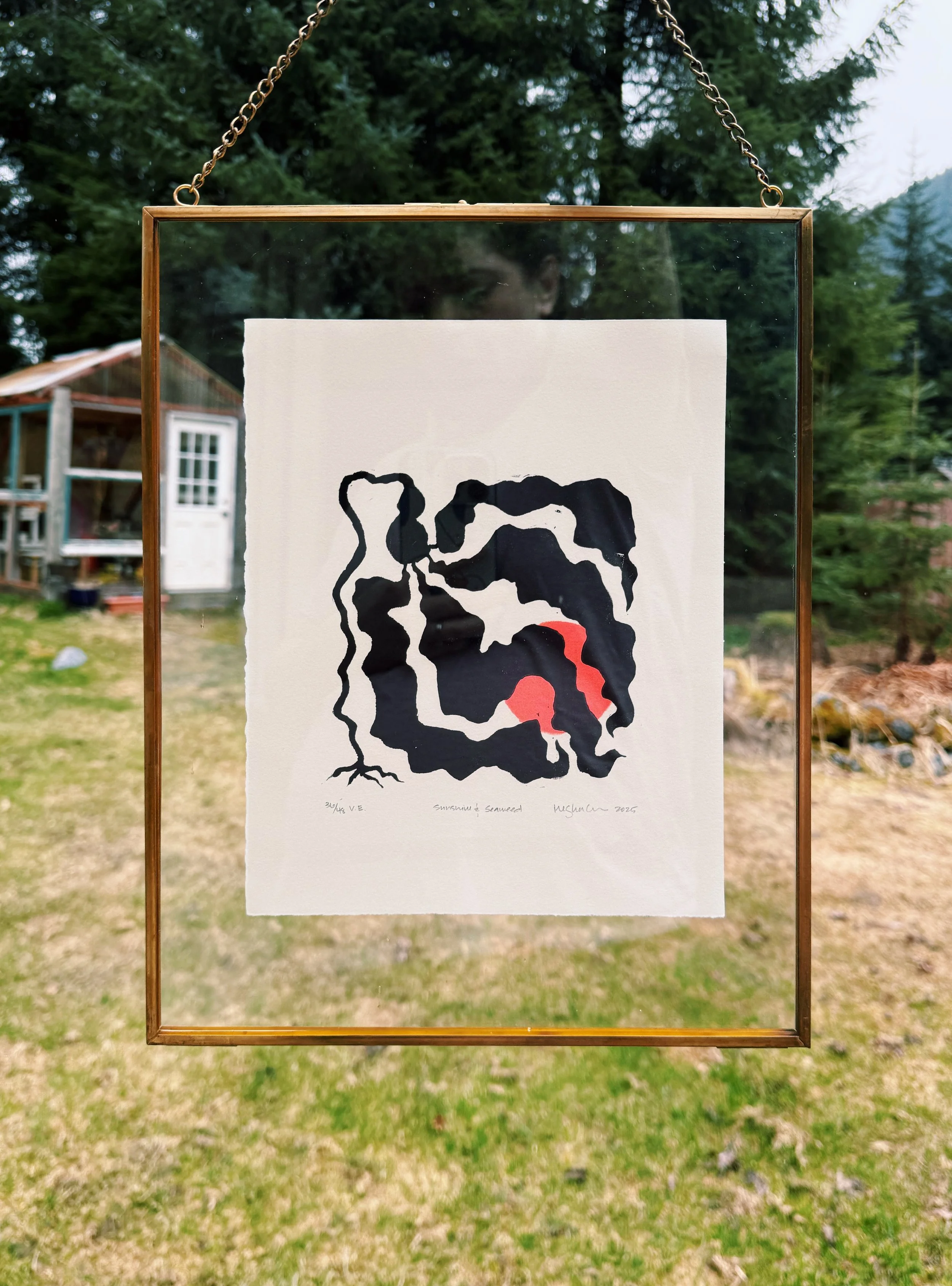 Bull Kelp_framed.JPG