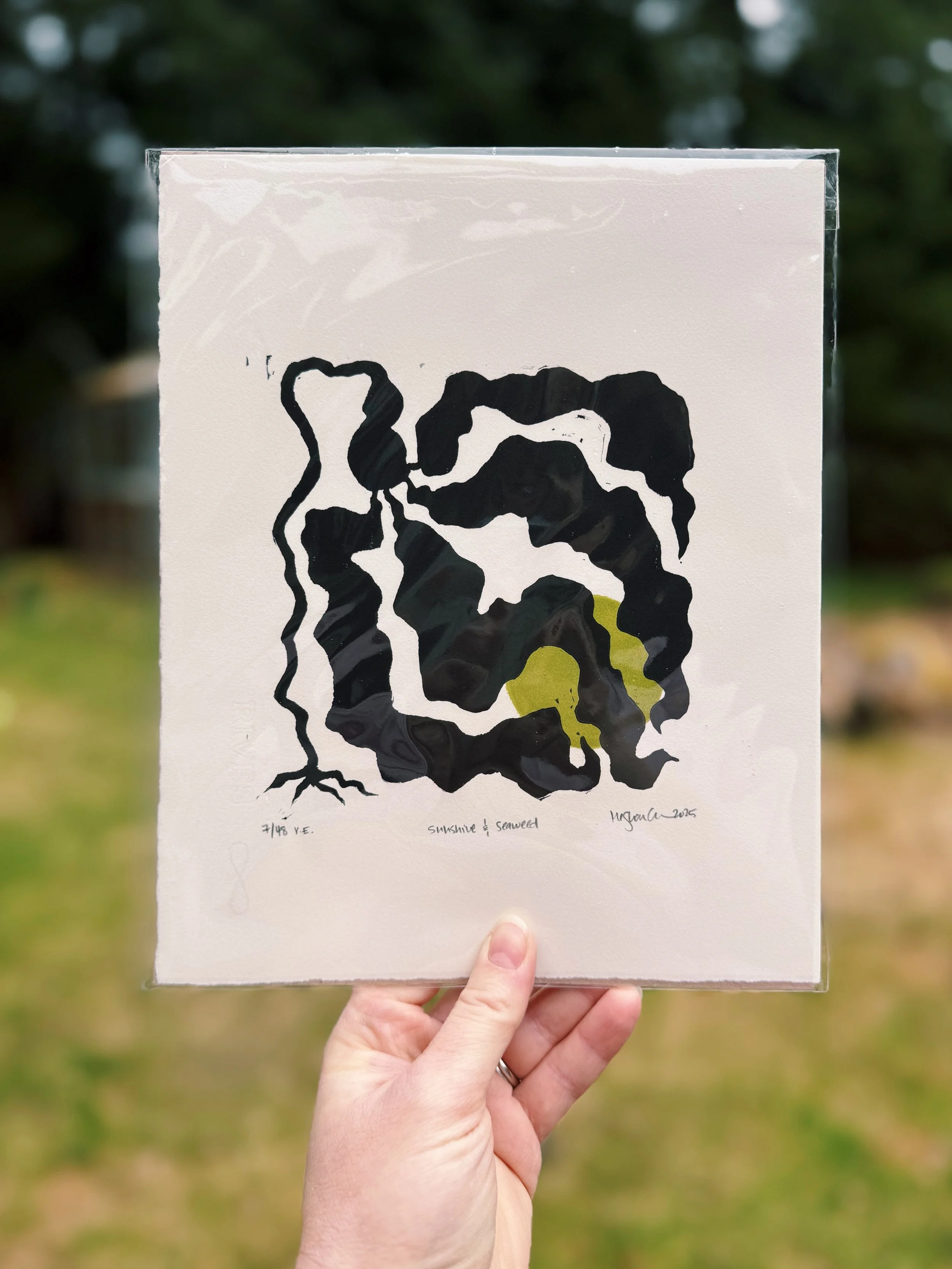 Bull Kelp_moss.JPG