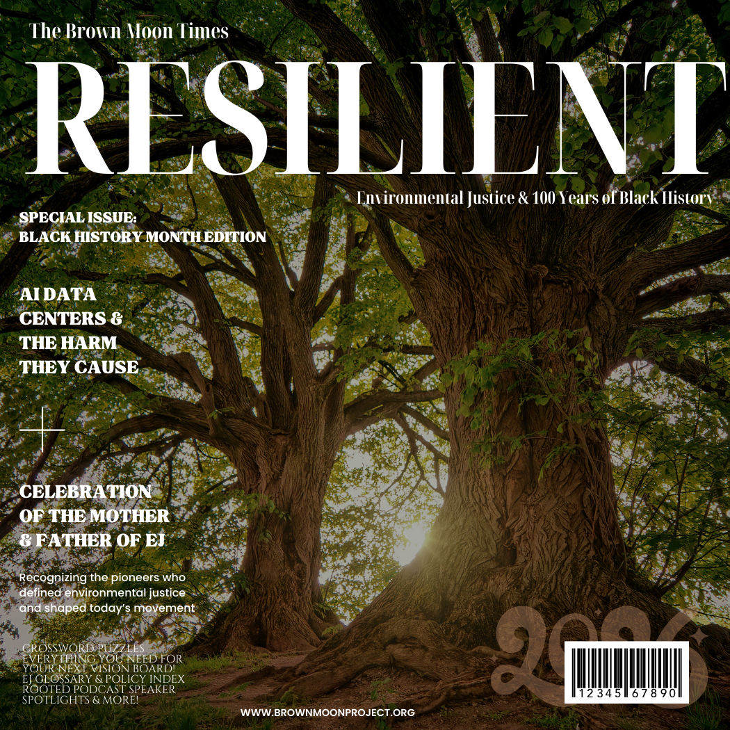 Black History Month & Environmental Justice Magazine & Card Deck