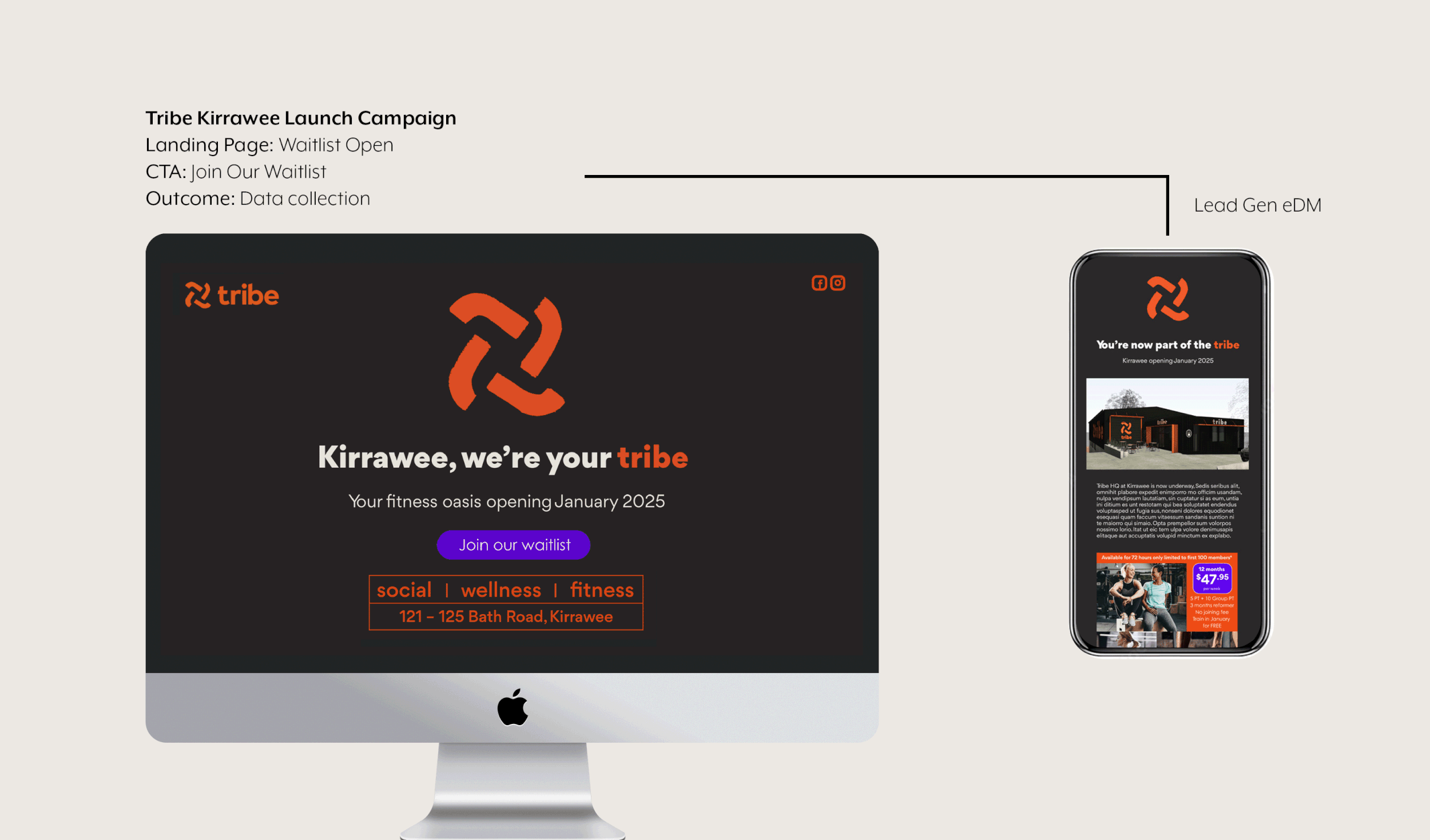 TRIBE WEB copy 1.gif
