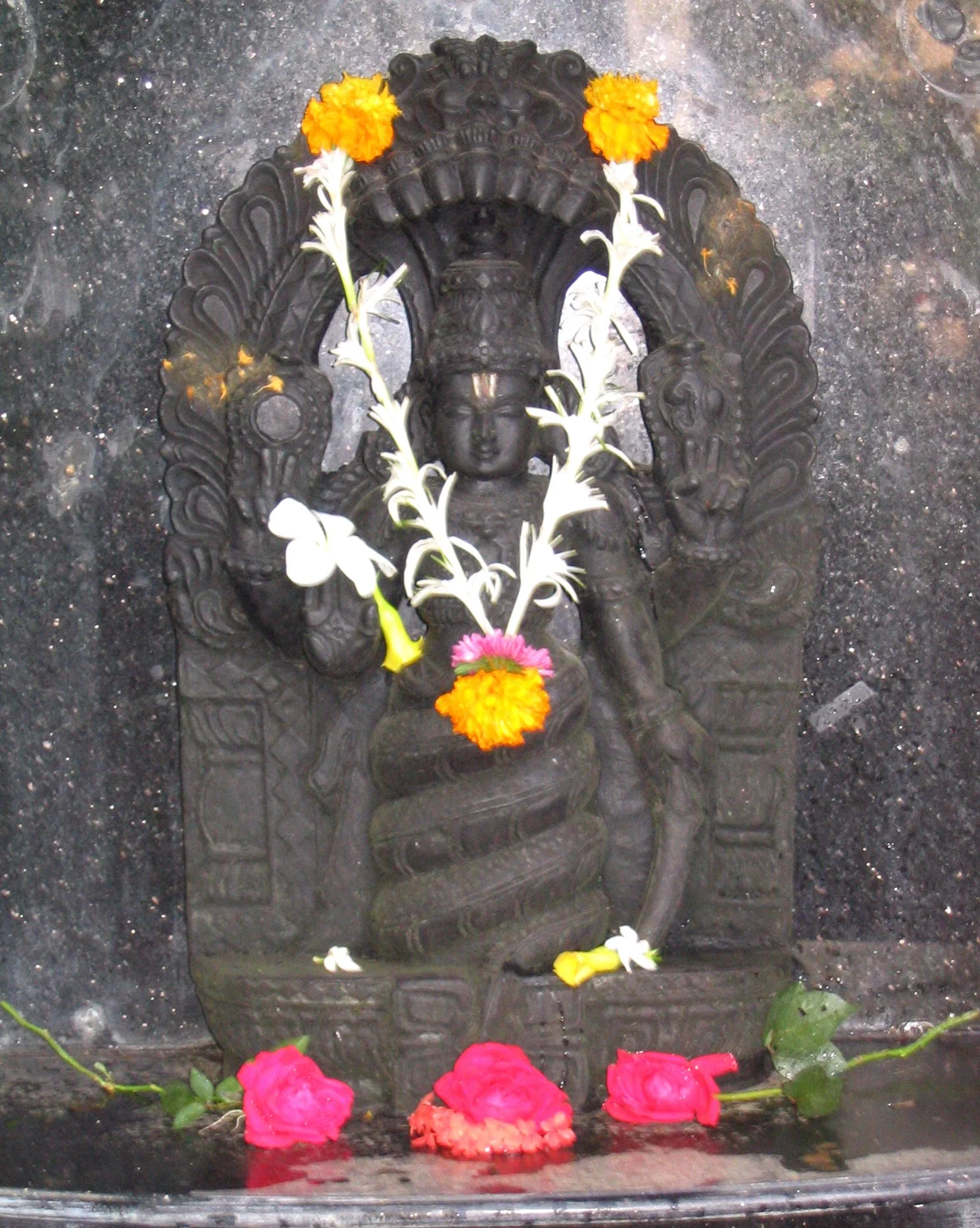 Iyengar Weekend Immersion