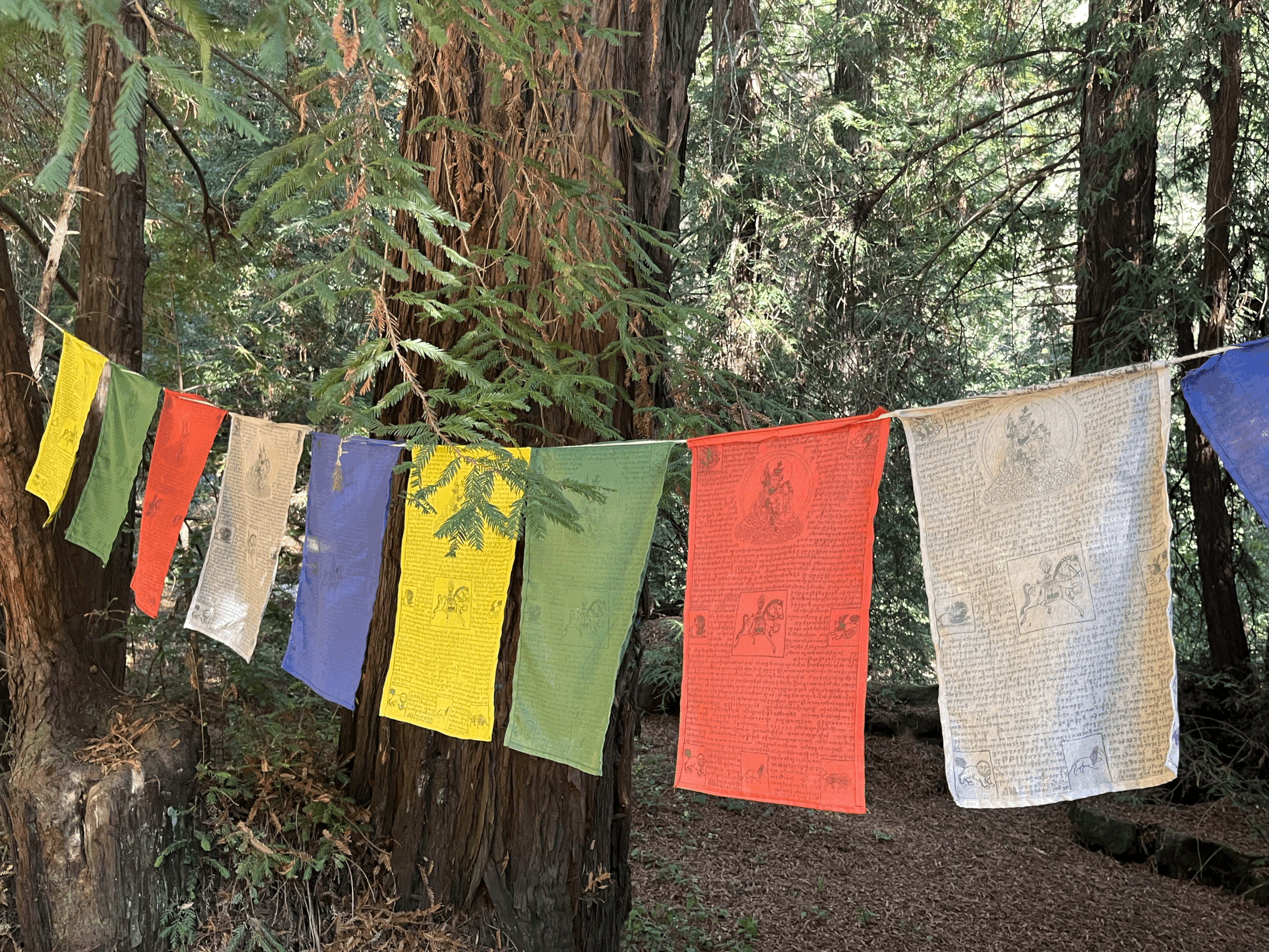 Sacred Rhythm: Karma, Dharma & the Path of Practice