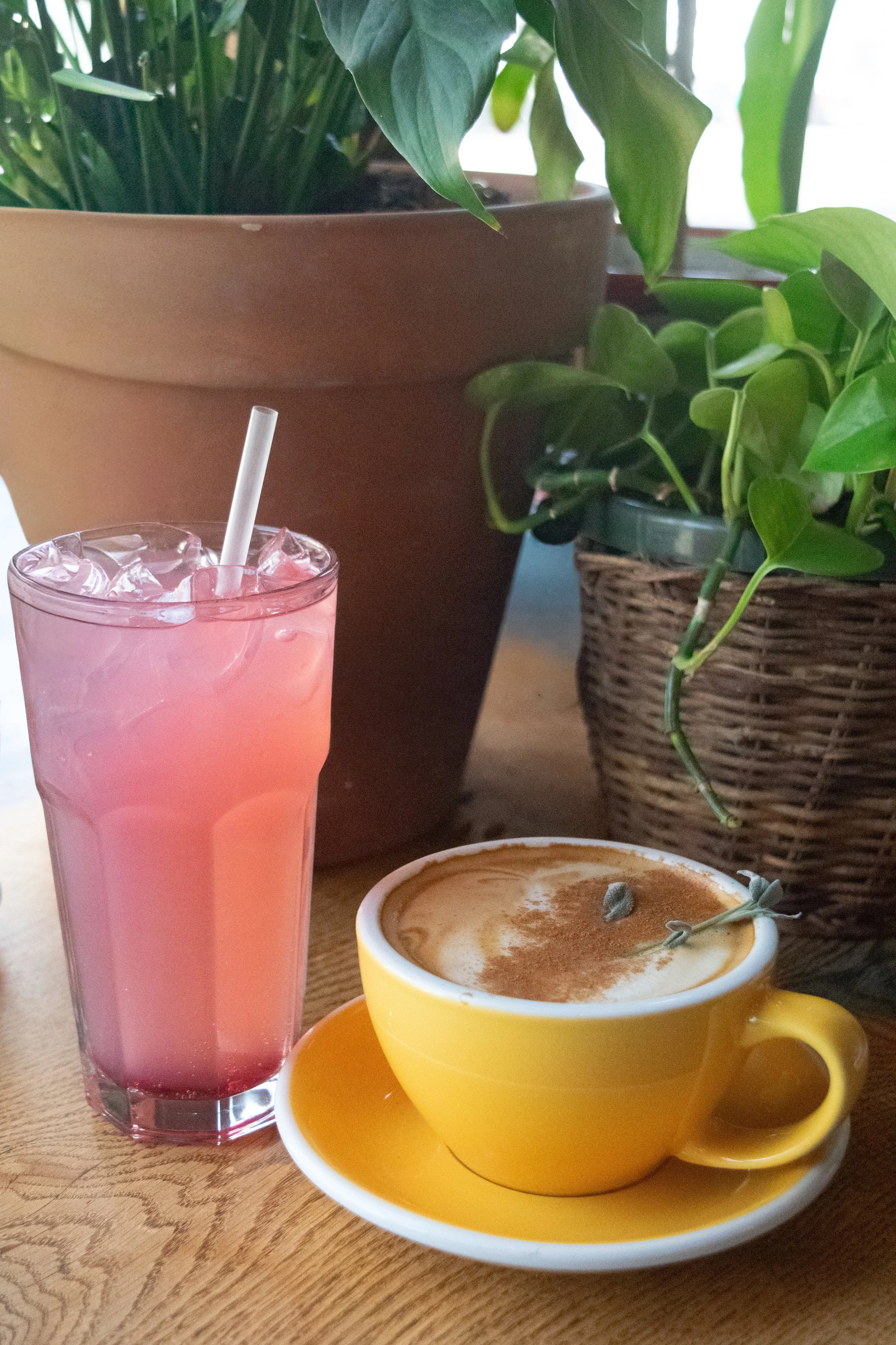 Yellow Bird Coffee Bar-25.jpg