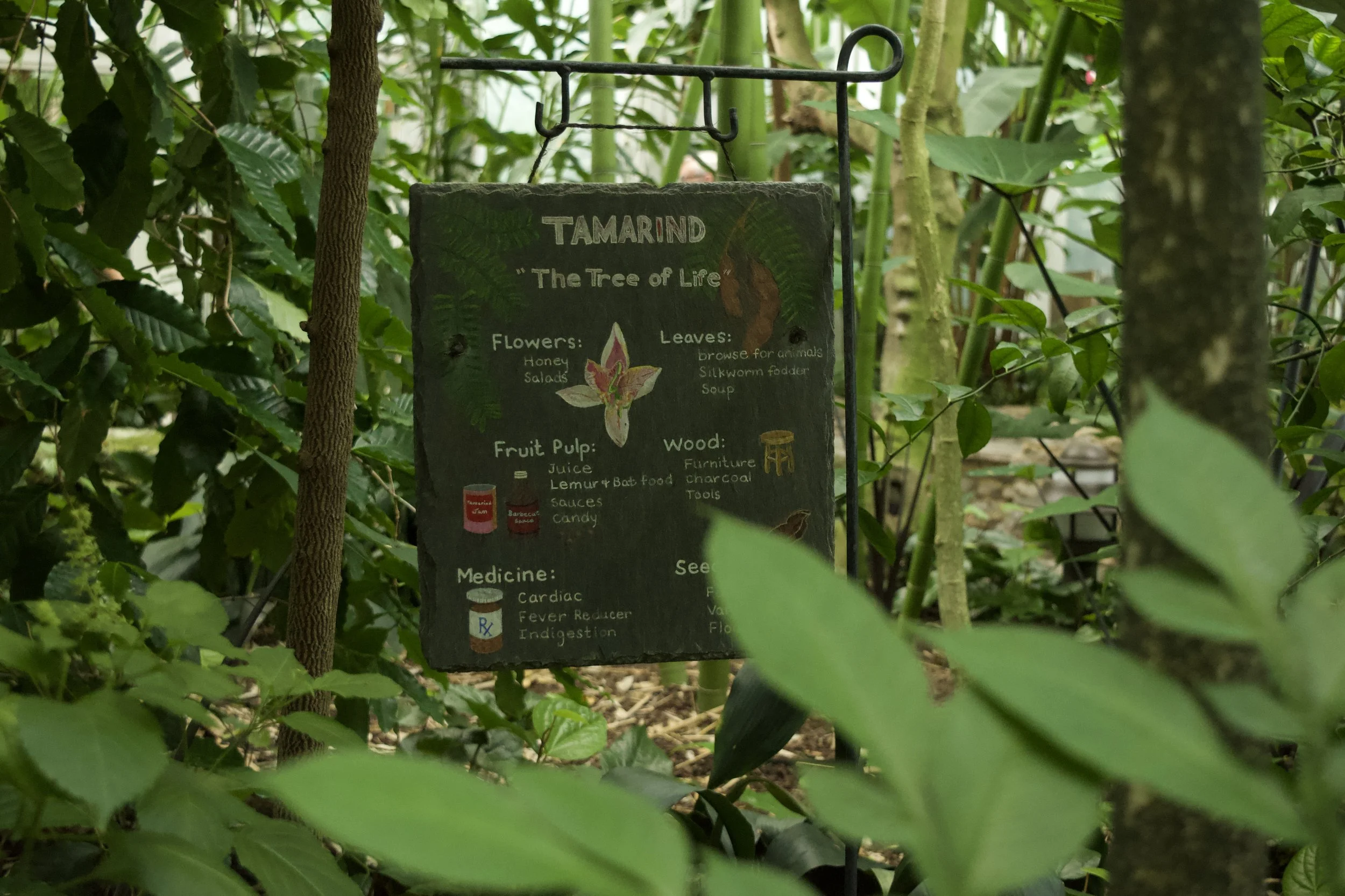 DSC_0515.jpeg