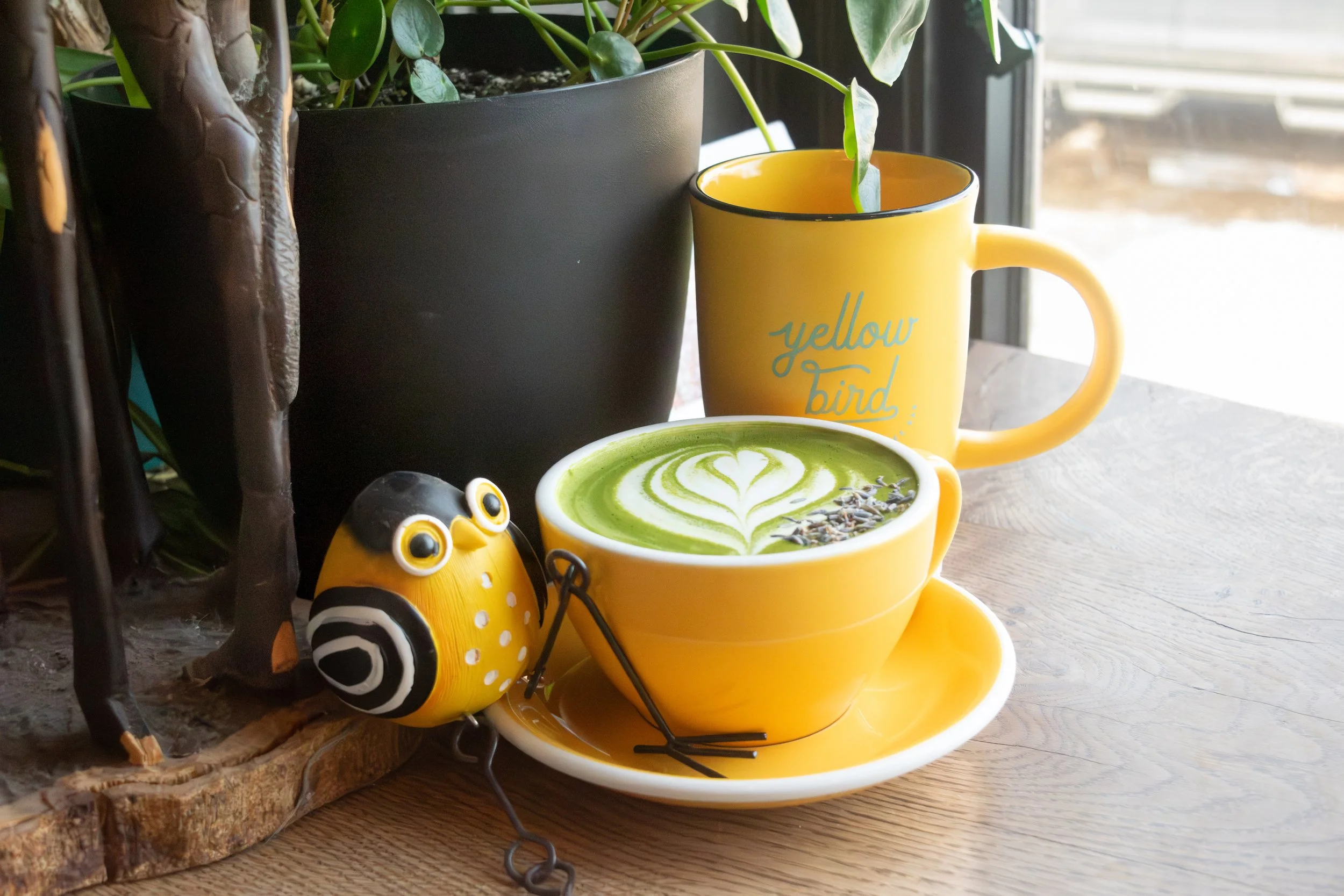 Yellow Bird Coffee Bar-35.jpg