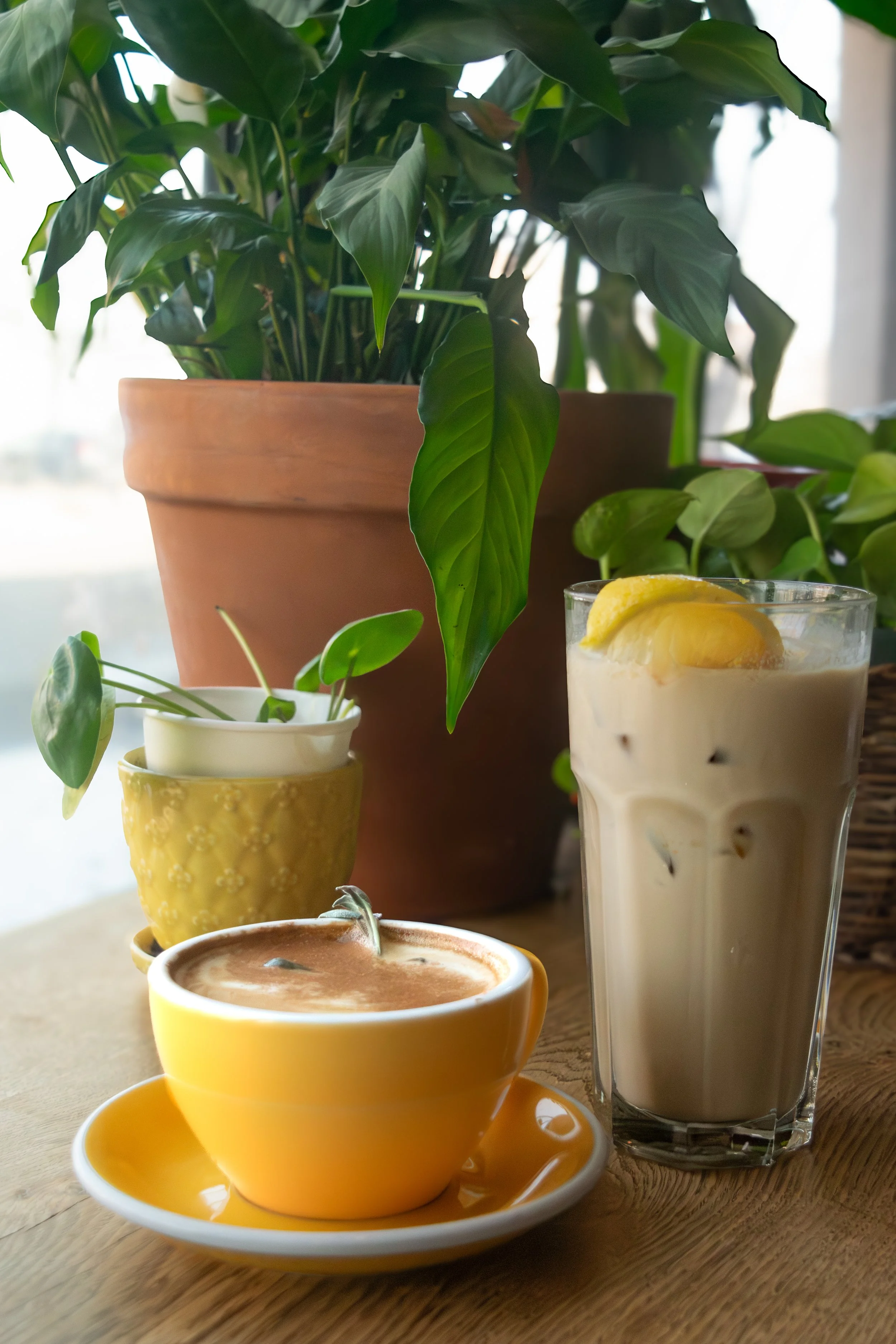 Yellow Bird Coffee Bar-31.jpg