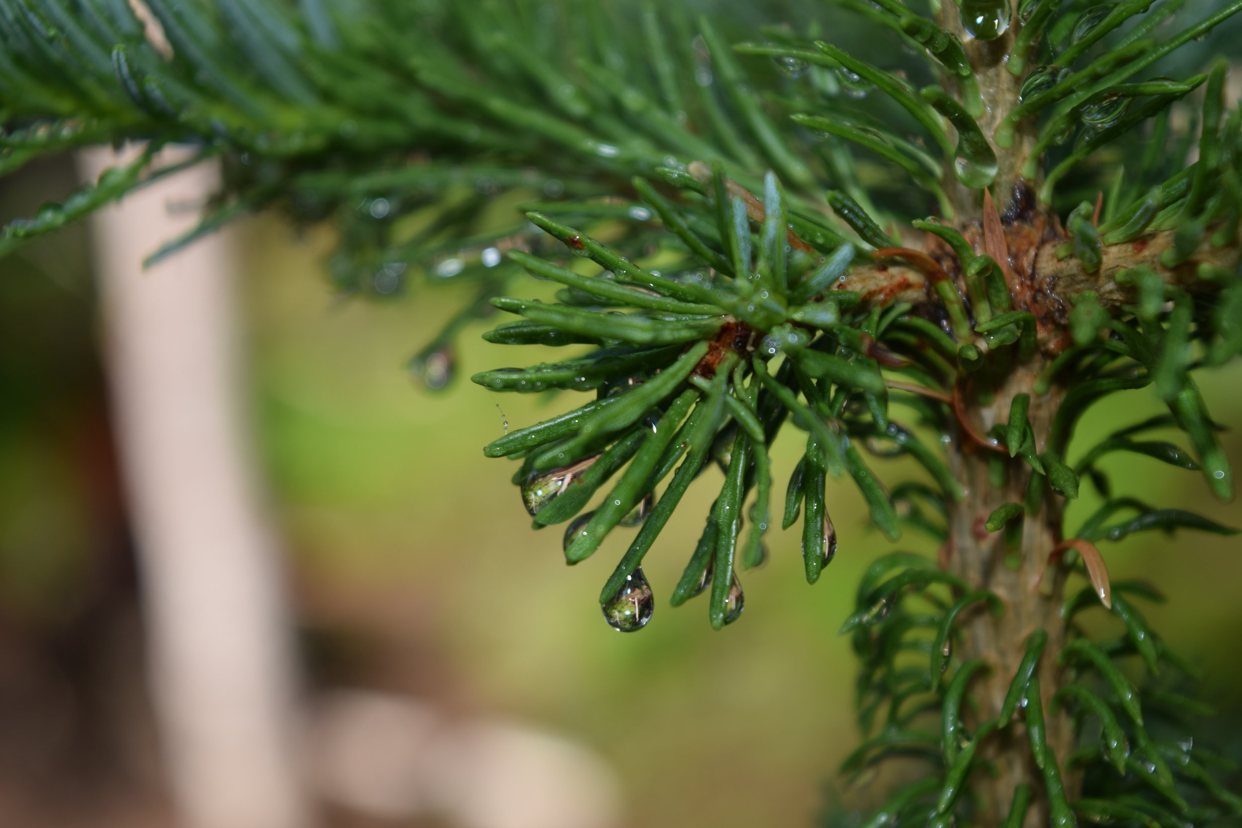 DSC_0157.jpg