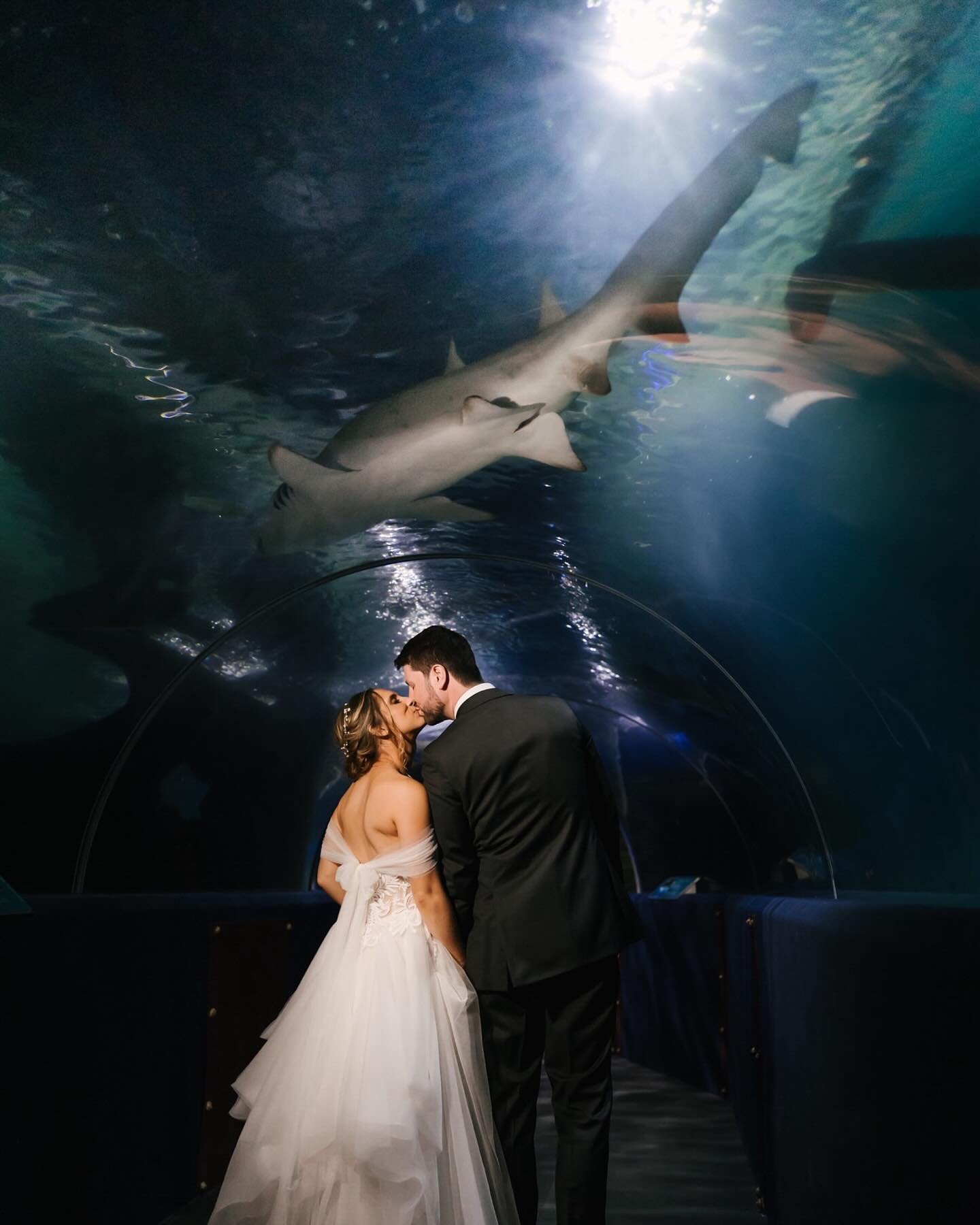 Fun couple ✅ Amazing spring weather ✅ Photos with sharks ✅ &hellip; perfect way to kickoff spring weddings 🤩 Had such a great time celebrating Rachel + Brad! 💛
