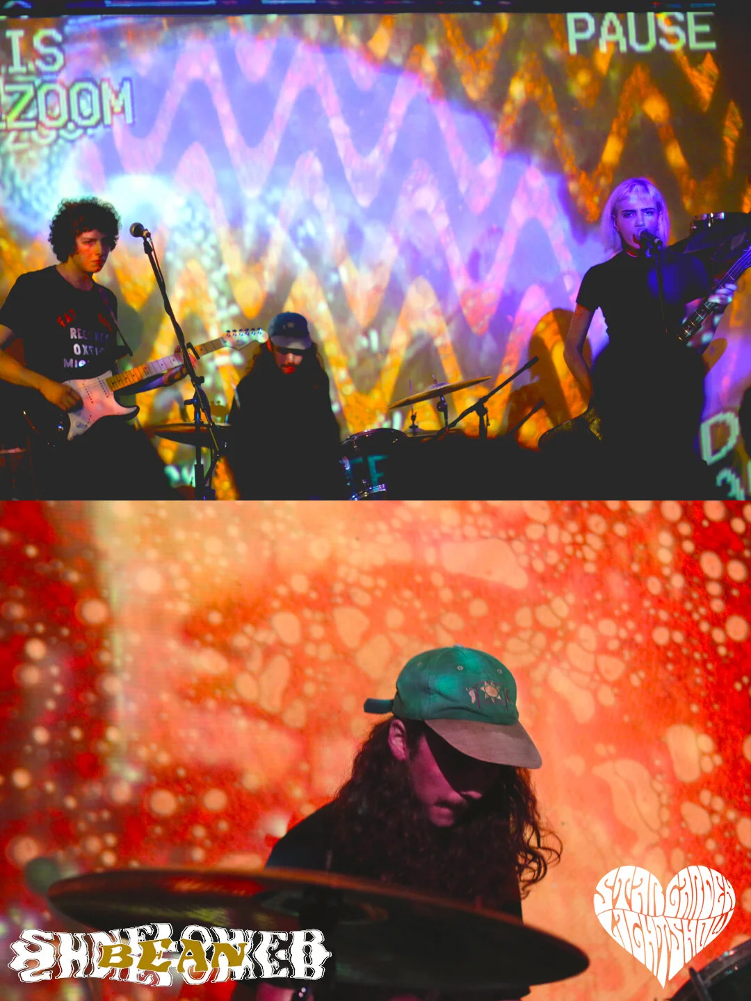 Sun Flower Promo copy.jpg