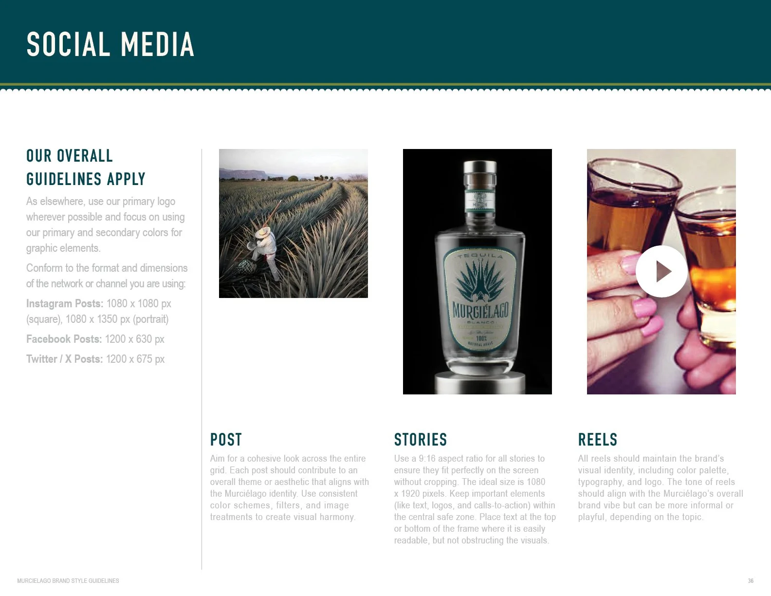 MURCIELAGO BRAND GUIDELINES_v736.jpg