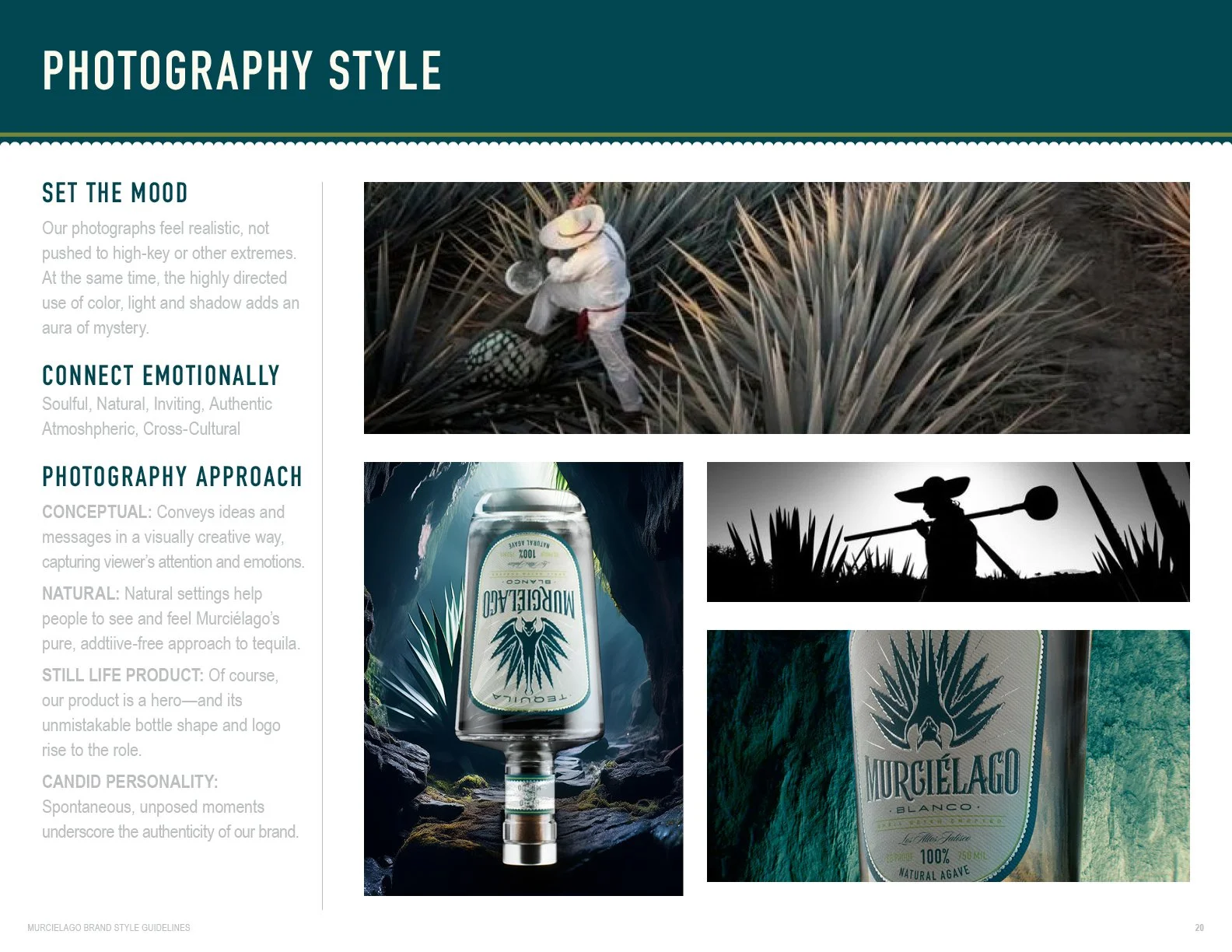 MURCIELAGO BRAND GUIDELINES_v720.jpg