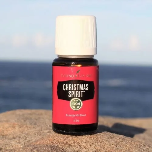 Christmas Spirit.jpg