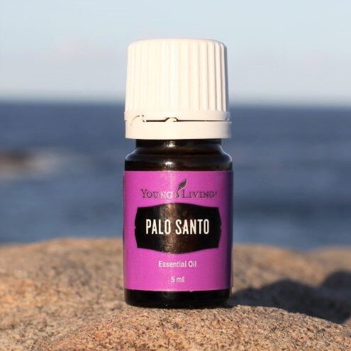 Palo Santo.jpg