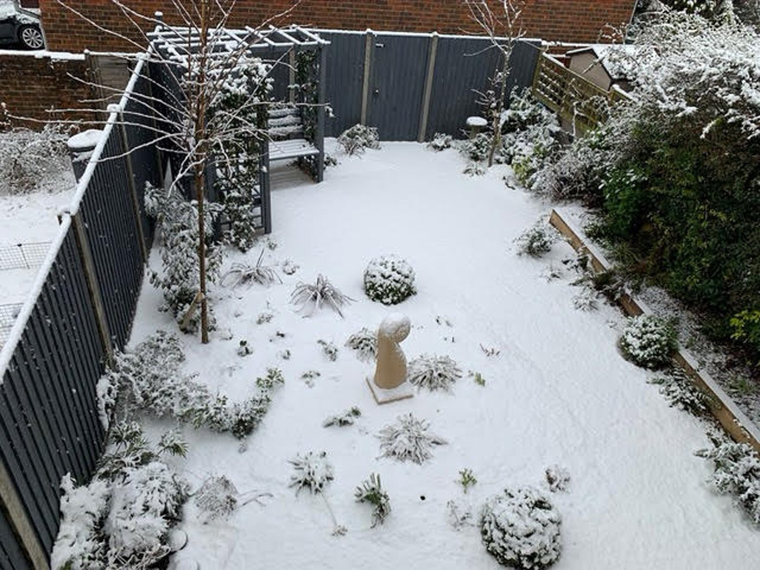 Snowy scene.jpg