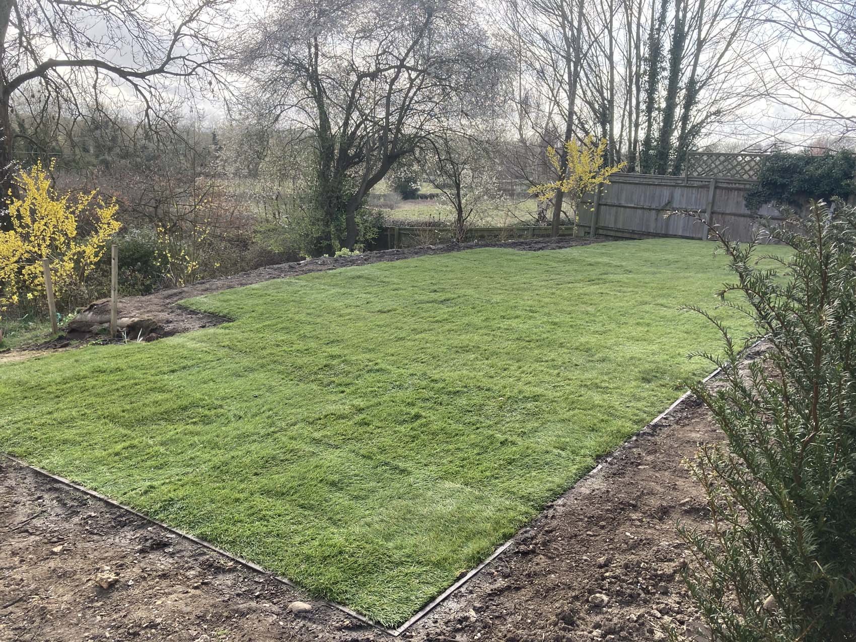Lawn installed.jpg