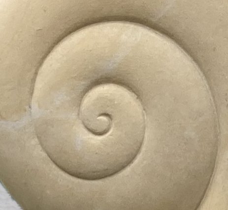 Koru2.jpg