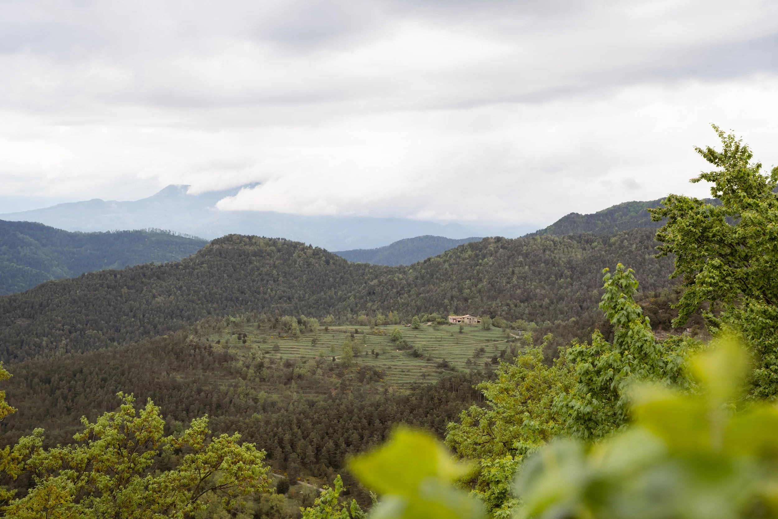 Surprise proposal photoshoot-19.jpg