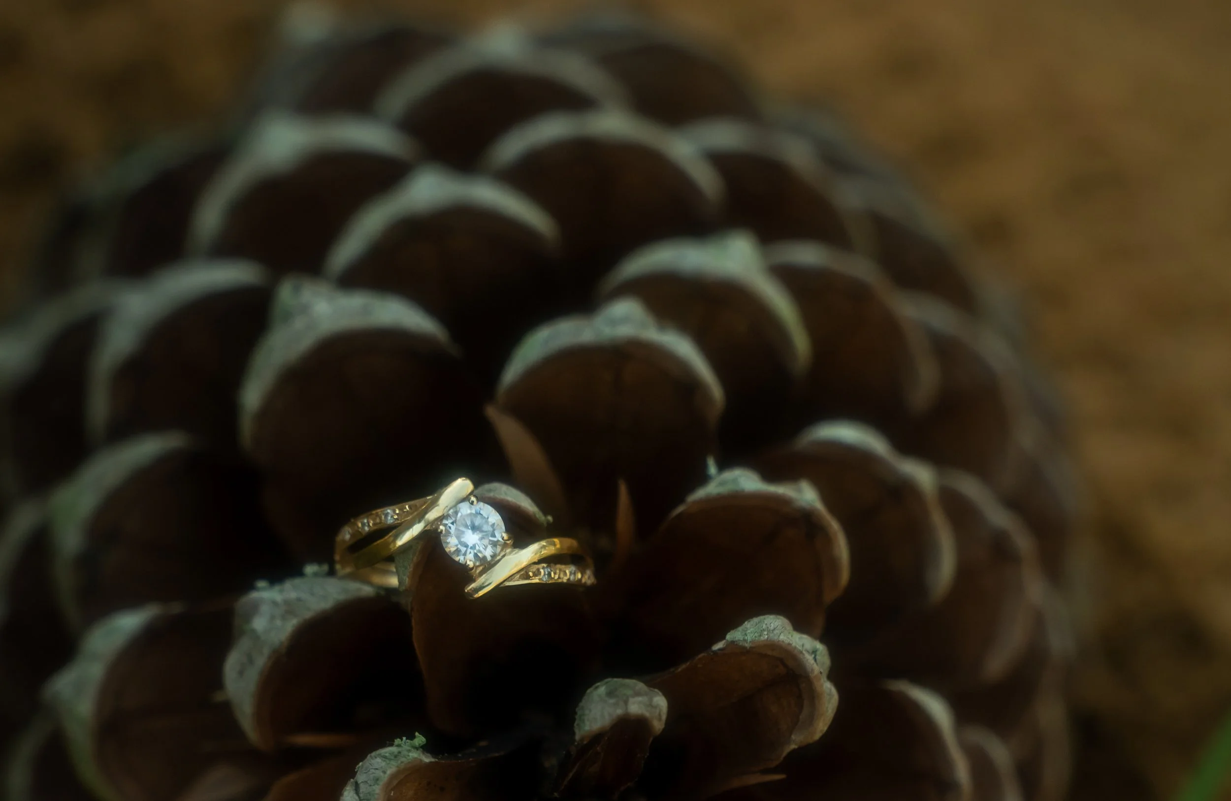 Novafotos.es - Ovidiu & Sandra - Preboda-50.jpg