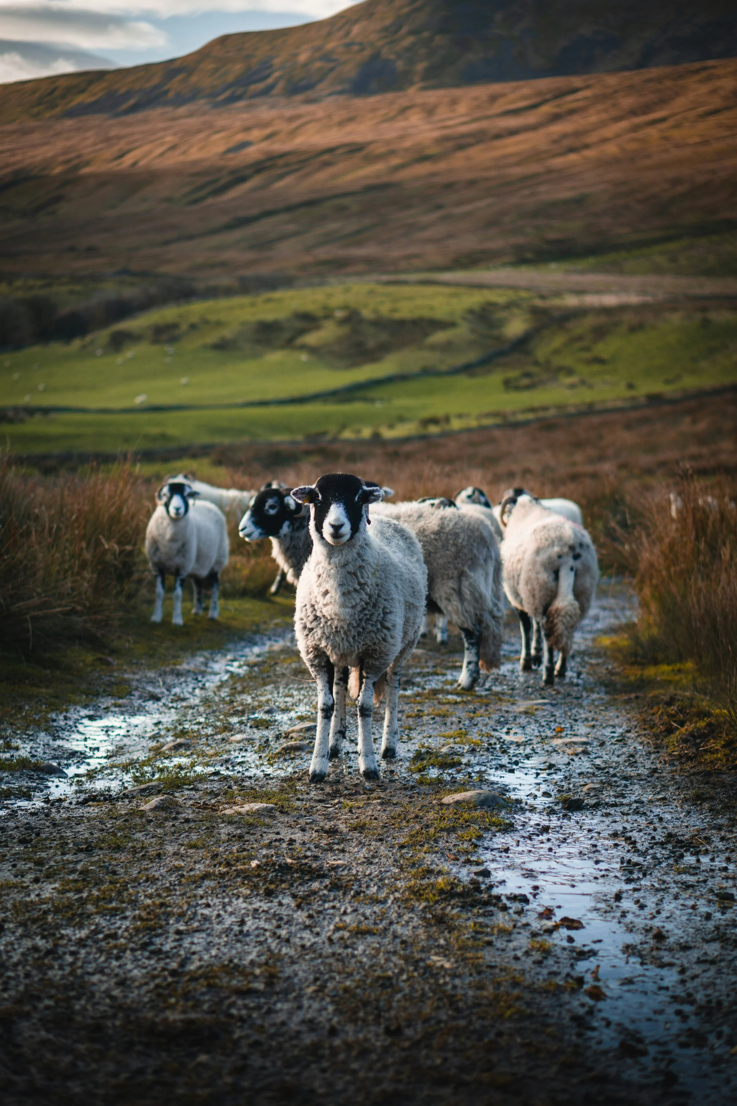 illiya-vjestica-pP4eKGzZWdI-unsplash-2.jpg