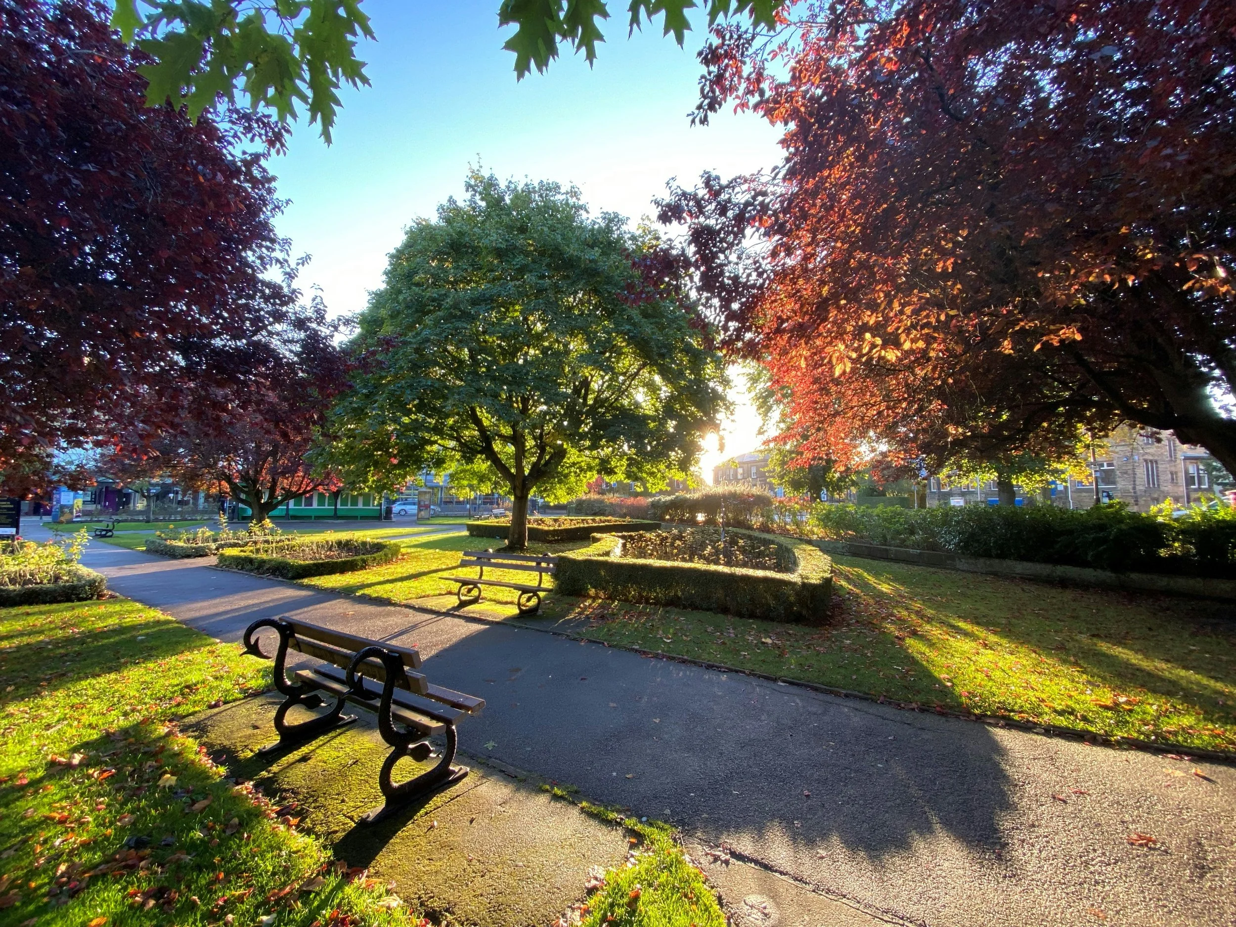 Image of Valley Gardens in Harrogate with park benches, grass and lots of trees