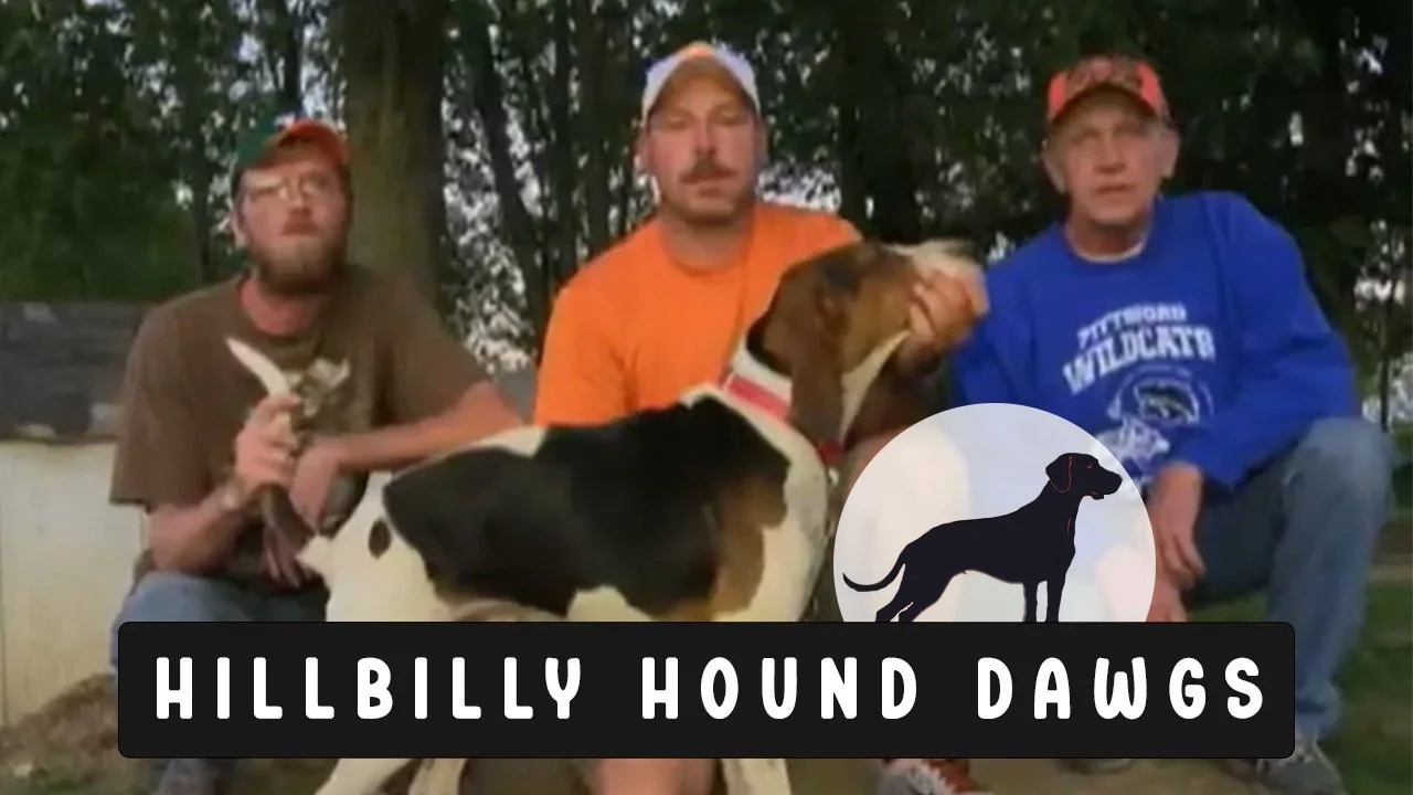 Hillbilly Hound Dawgs_THUMBNAIL FINAL.jpg