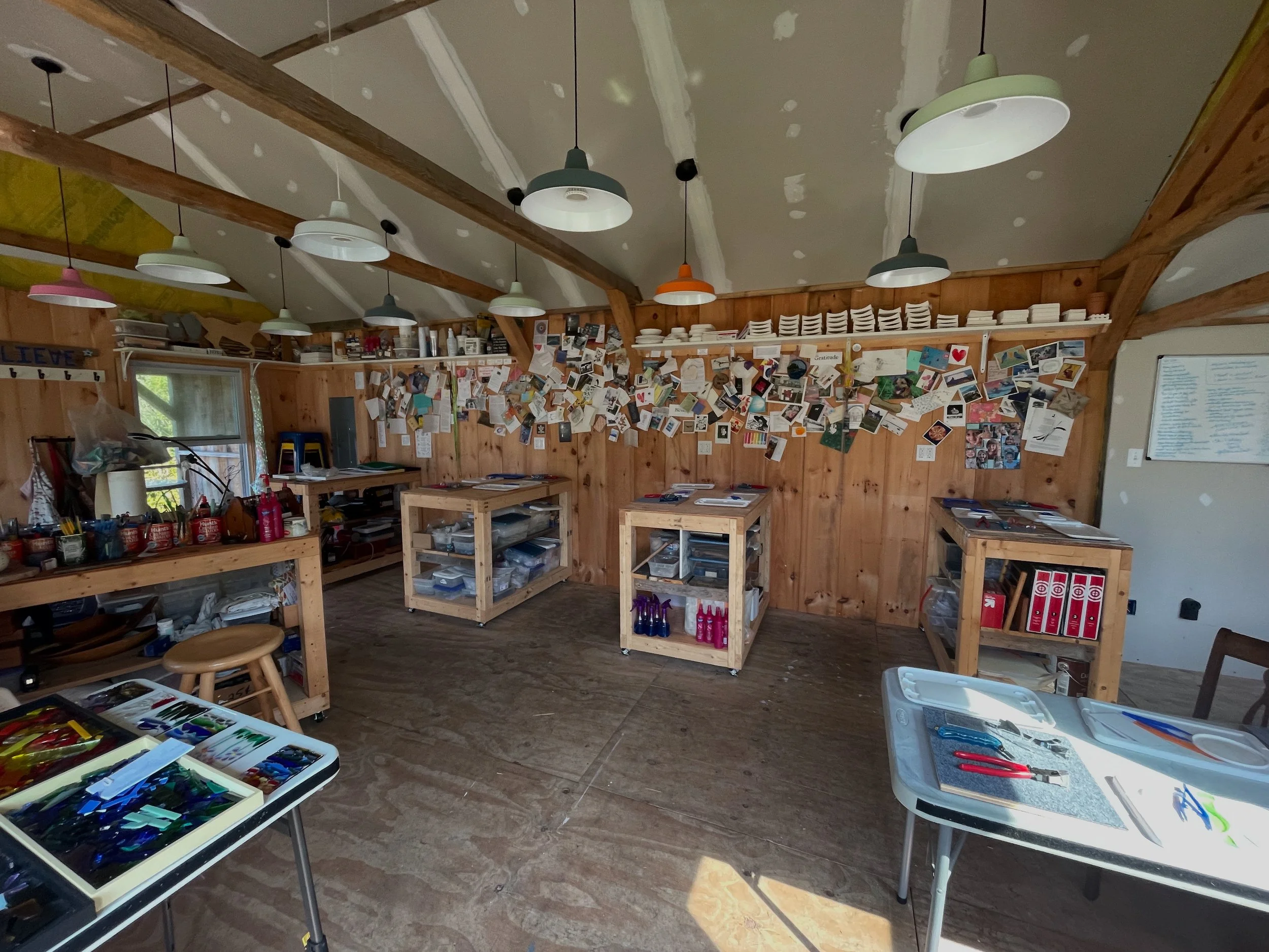 Color, Curiosity, and a Whole Lot of Fun