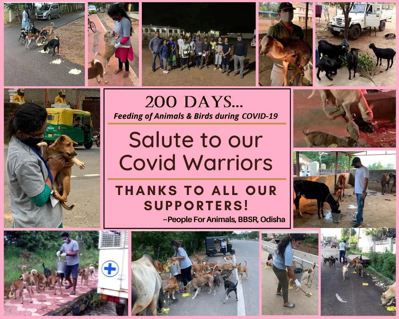 People For Animals Odisha