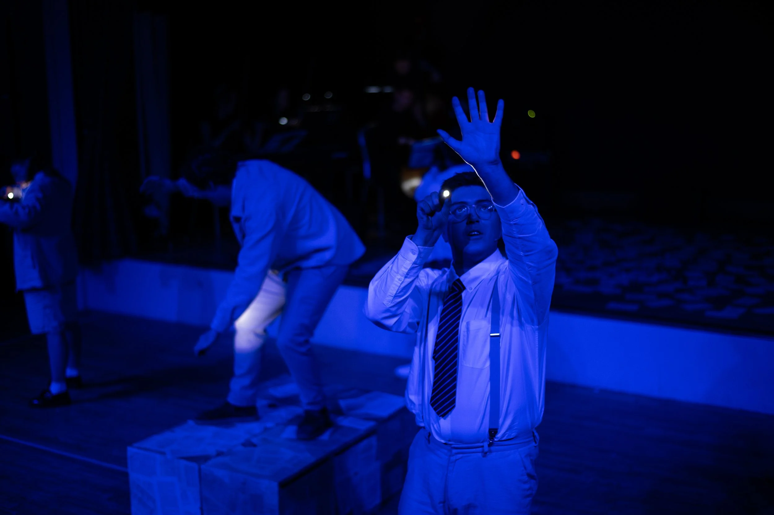 Liz Mills / Design & Photography