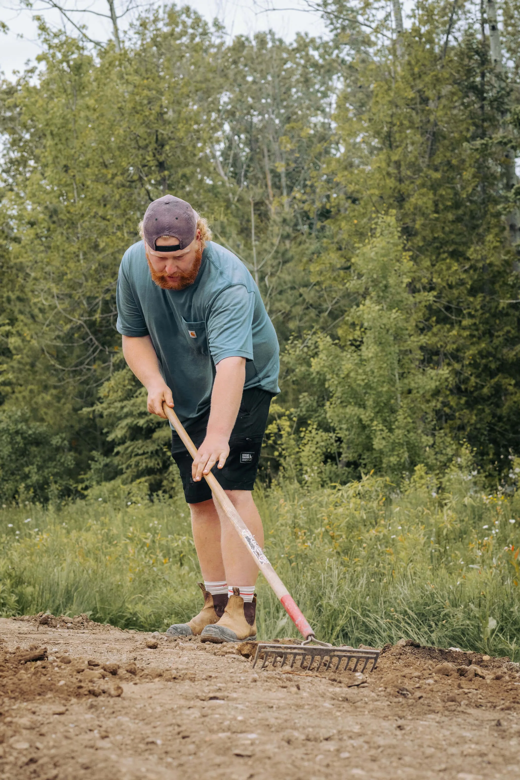 A man with a beard, wearing a blue t-shirt, black shorts, work boots, and a backward cap, is using a rake to level or till soil outdoors in a grassy area with trees in the background.