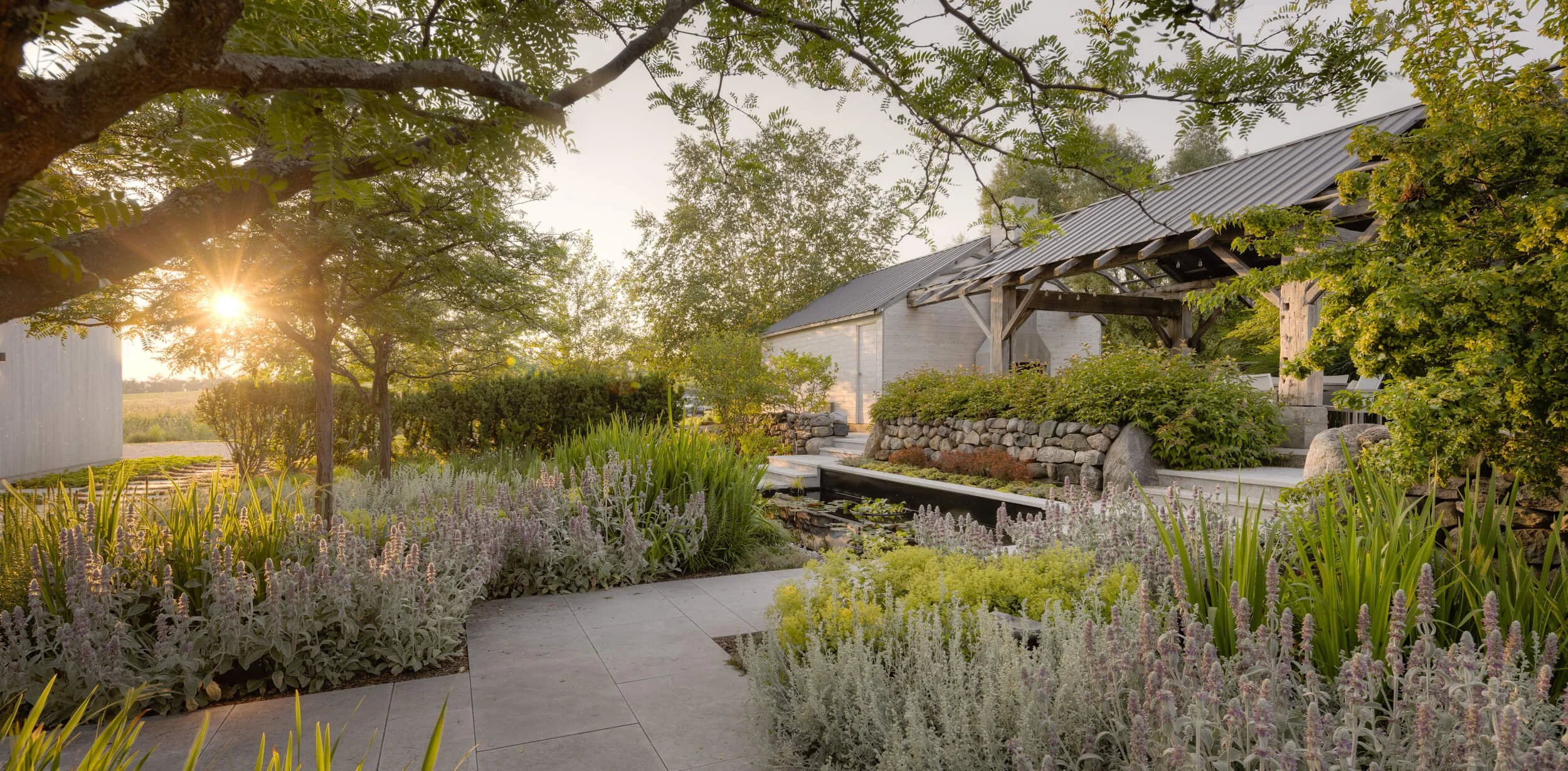 A tranquil garden scene at sunset featuring a paved pathway, lush green plants, trees, and a rustic barn with a metal roof in the background.