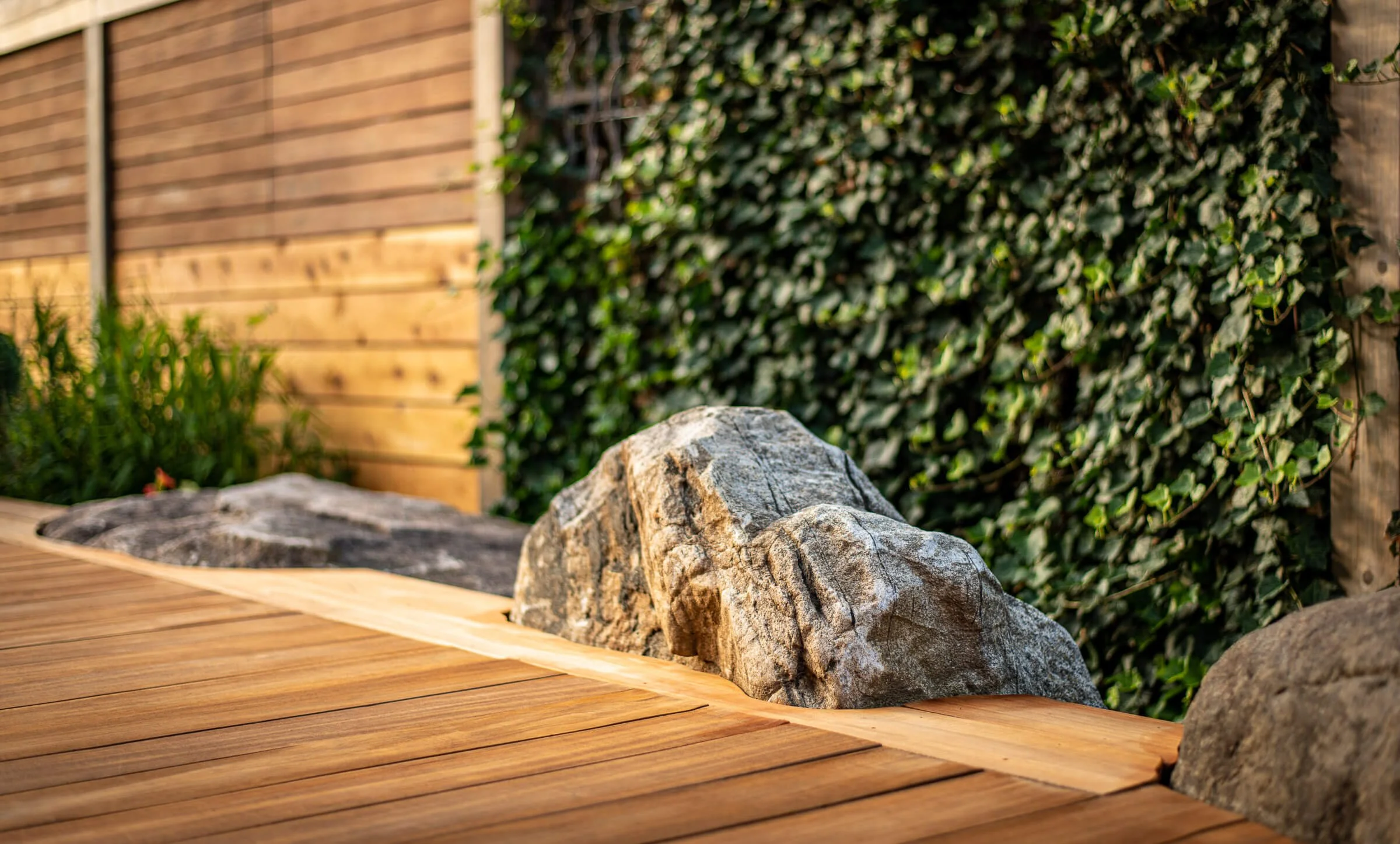 Close-up of a wooden deck with large decorative rocks and a background of green ivy and wooden fencing.