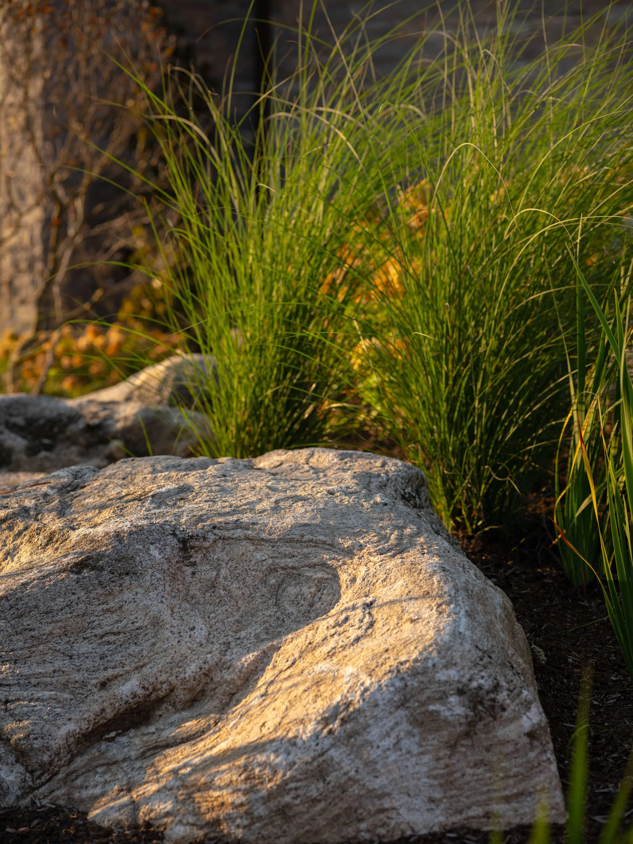 Close-up of a large weathered rock surrounded by green grass in a natural outdoor setting.
