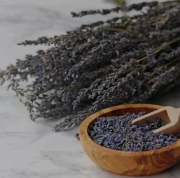 stems and wooden bowl with buds and scoop.jpg
